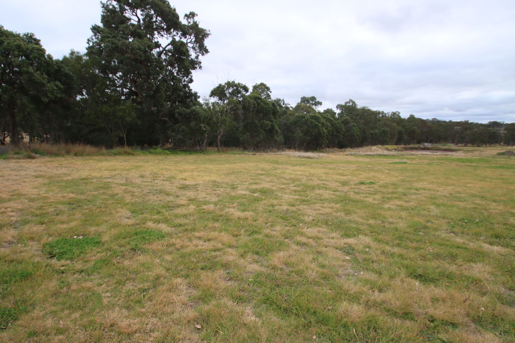 148B Sunnyside Loop Road, Tenterfield NSW 2372, Tenterfield - Thumbnail 6