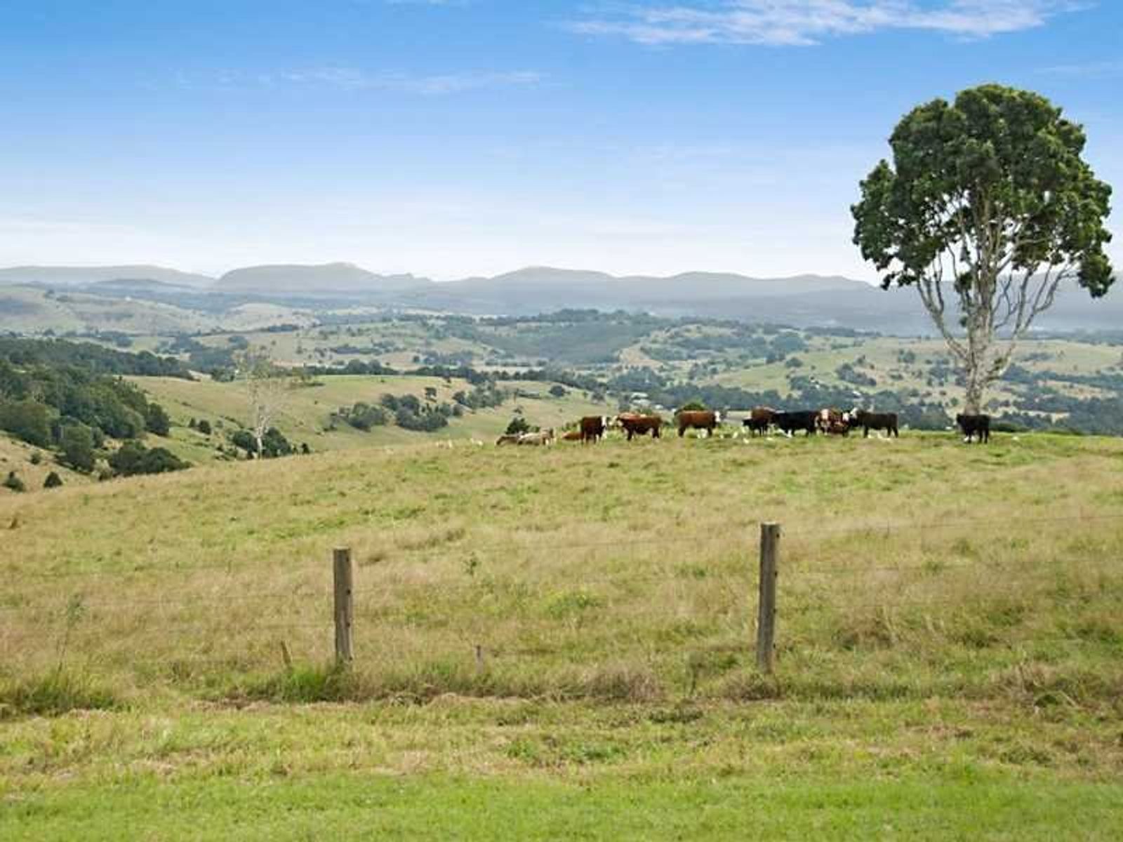 11 Roseview Road, McLeans Ridges - Thumbnail 8