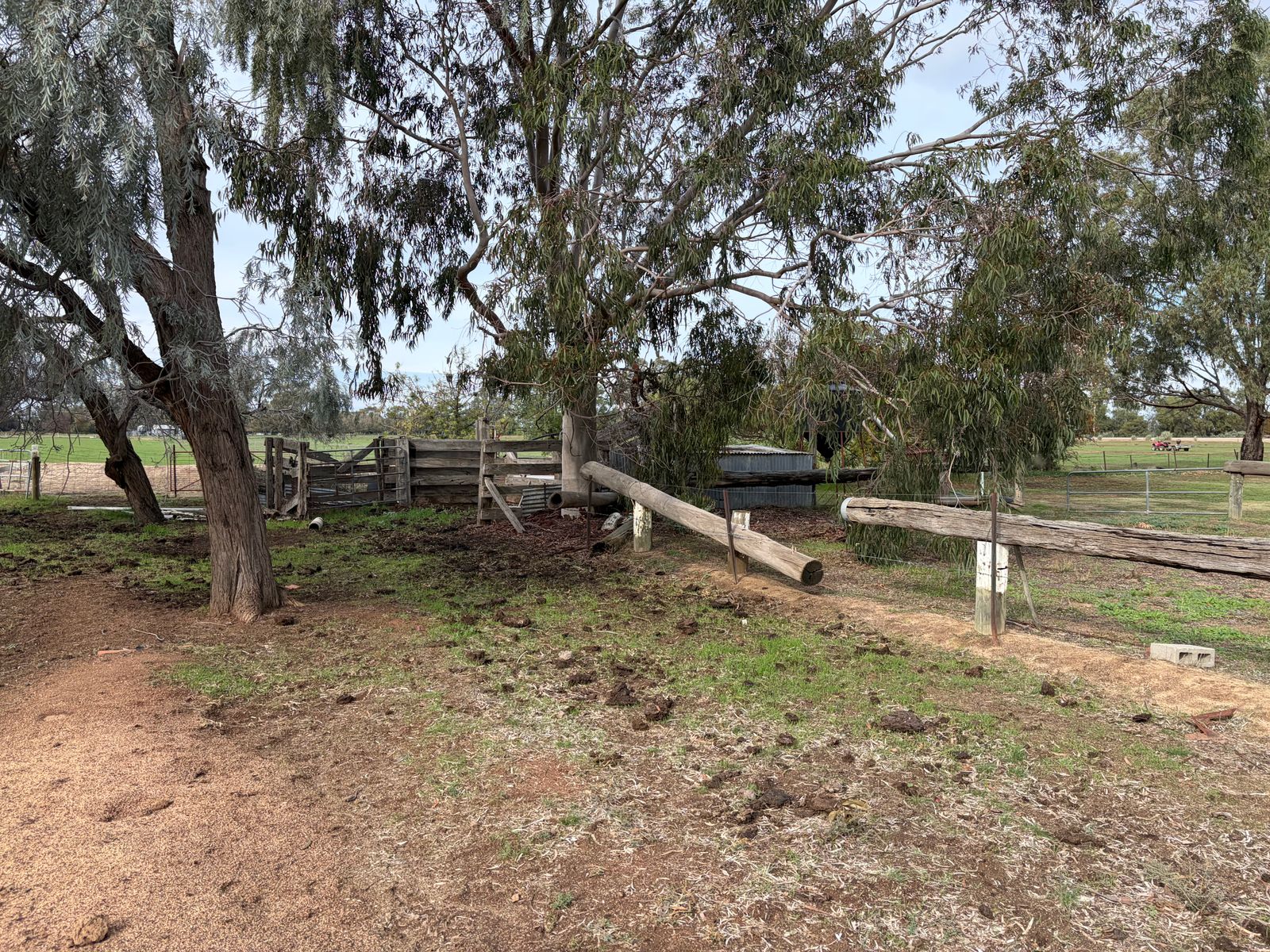 6230 Wakool Road, Wakool NSW 2710, Wakool - Thumbnail 8