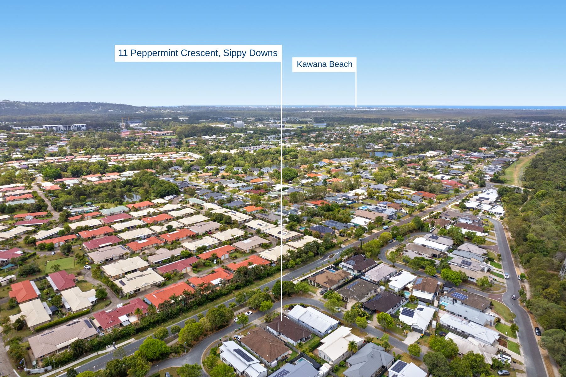 11 Peppermint Crescent, Sippy Downs QLD 4556, Sippy Downs - Thumbnail 2