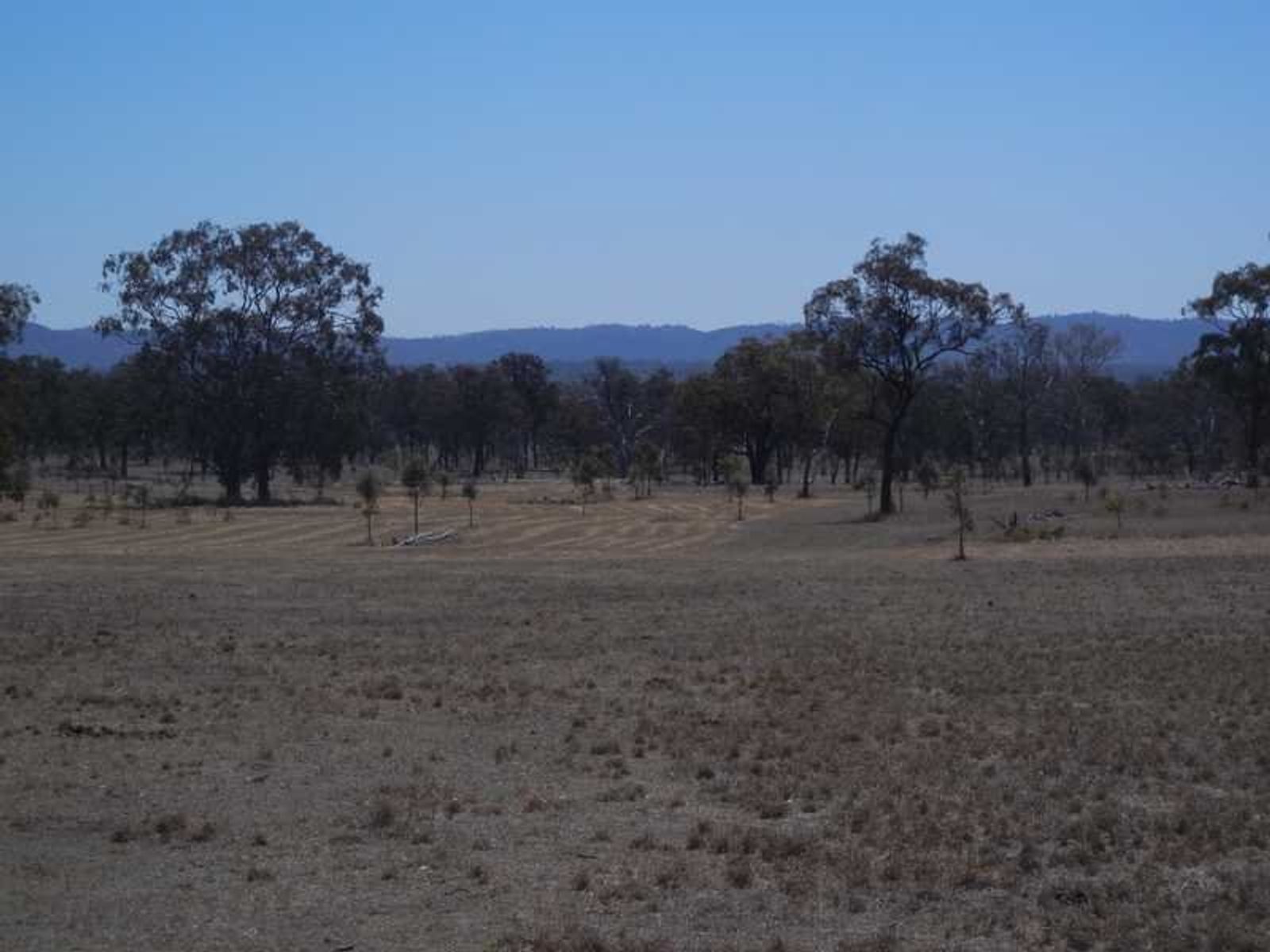 20641 New England HIghway, Warwick, QLD 4370, The Glen - Thumbnail 5