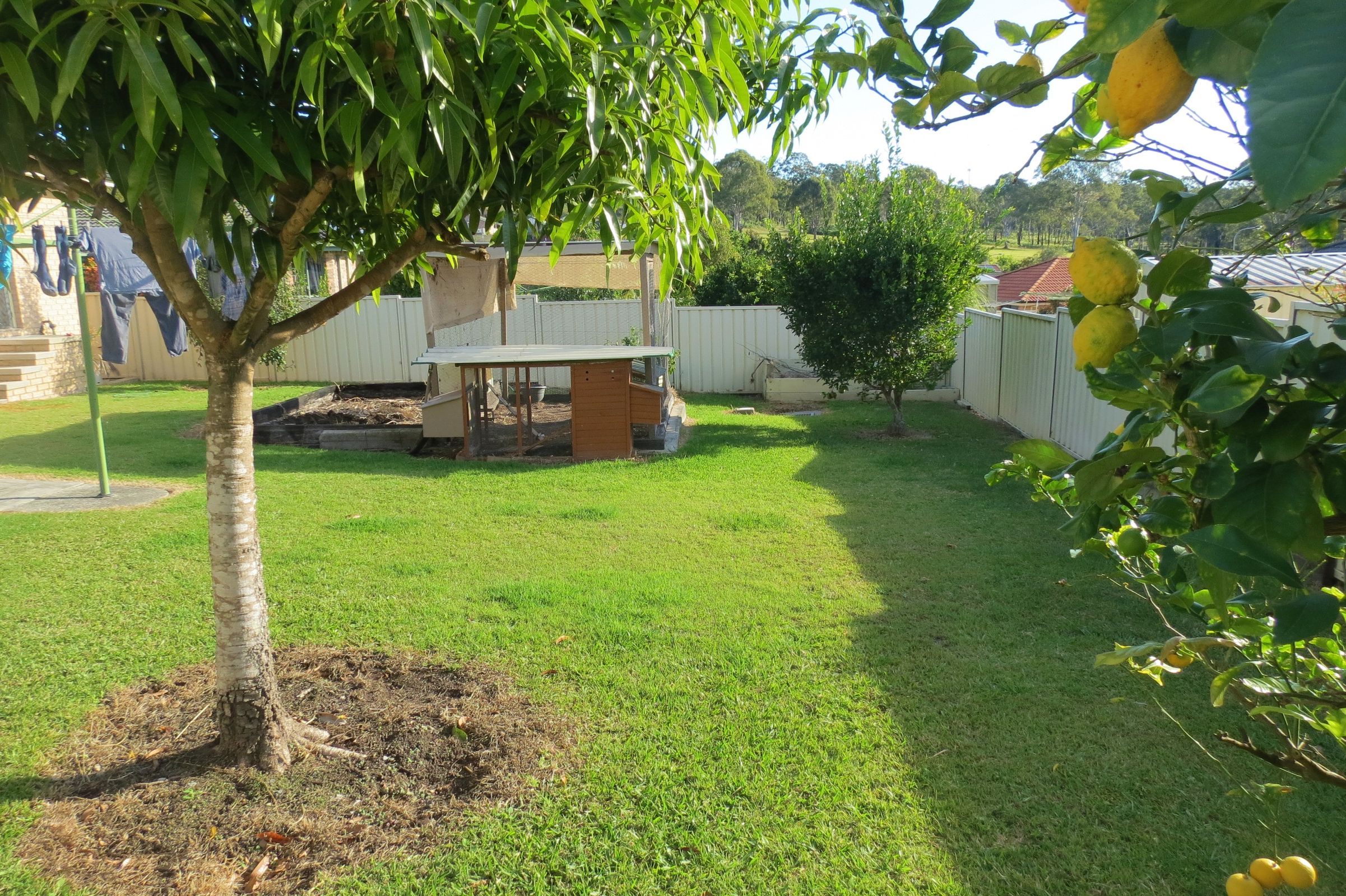 8 Uki Pl, Taree, Taree - Thumbnail 3