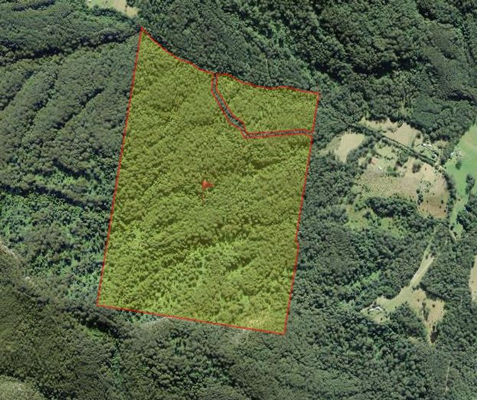 535 Waitui Road, Waitui, Waitui - Thumbnail 2