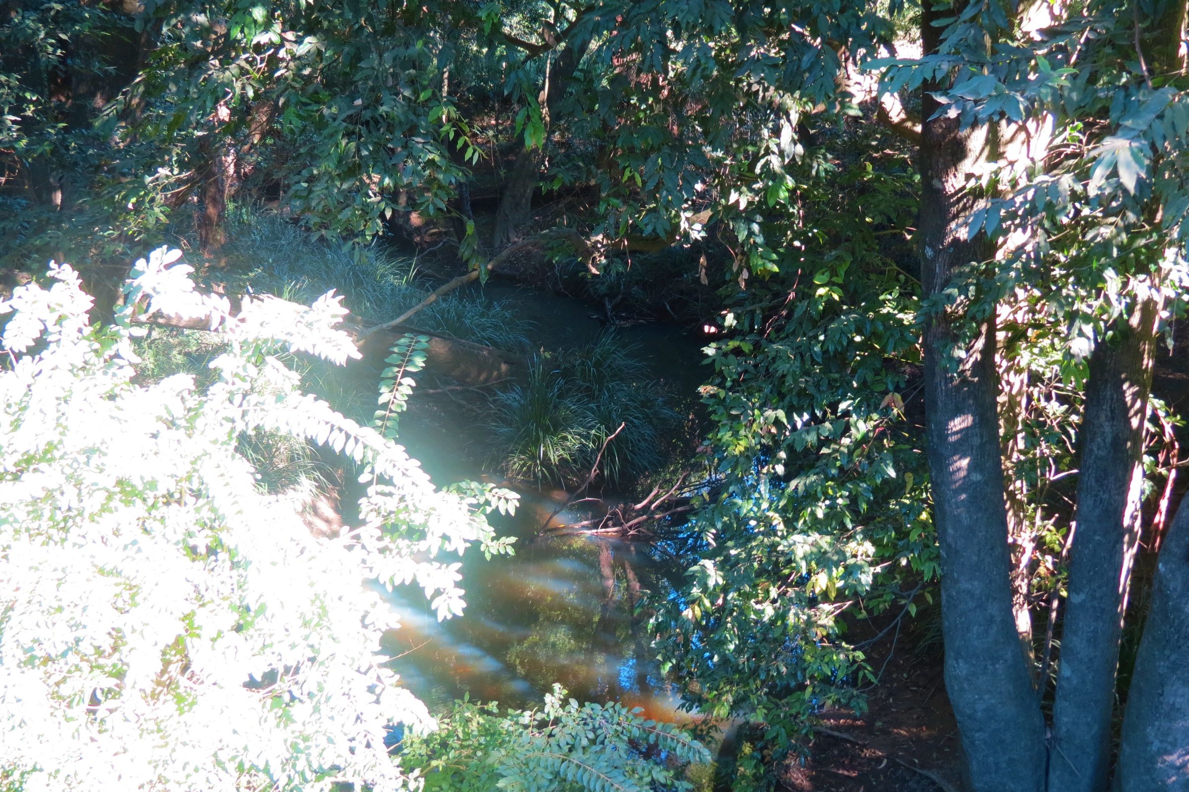Upper Lansdowne, Upper Lansdowne - Thumbnail 4