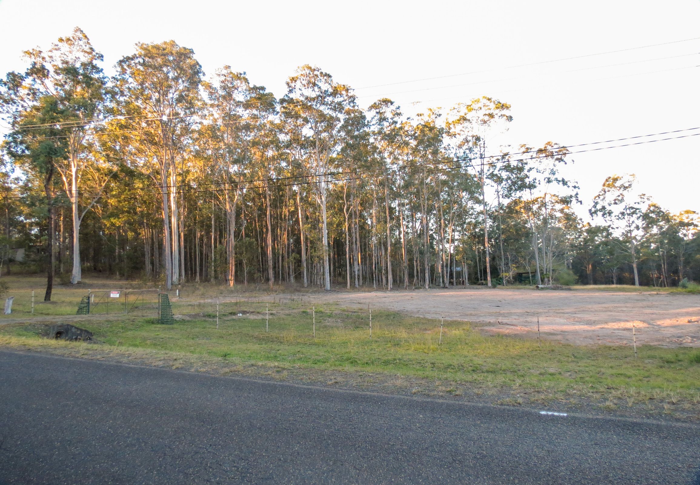 Taree, Taree - Thumbnail 4
