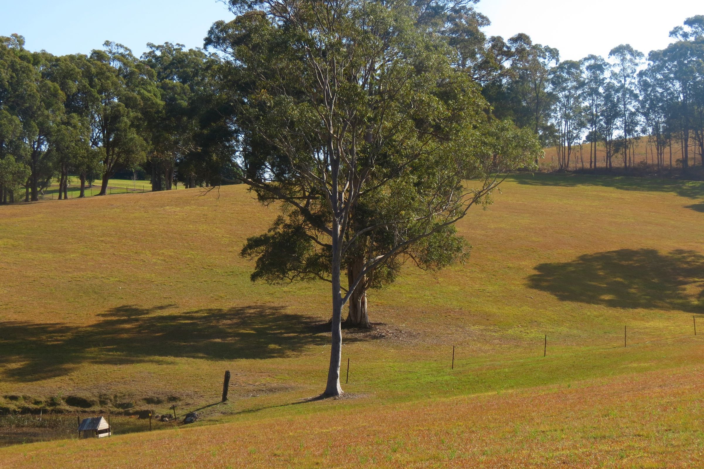 Wingham, Wingham - Thumbnail 4