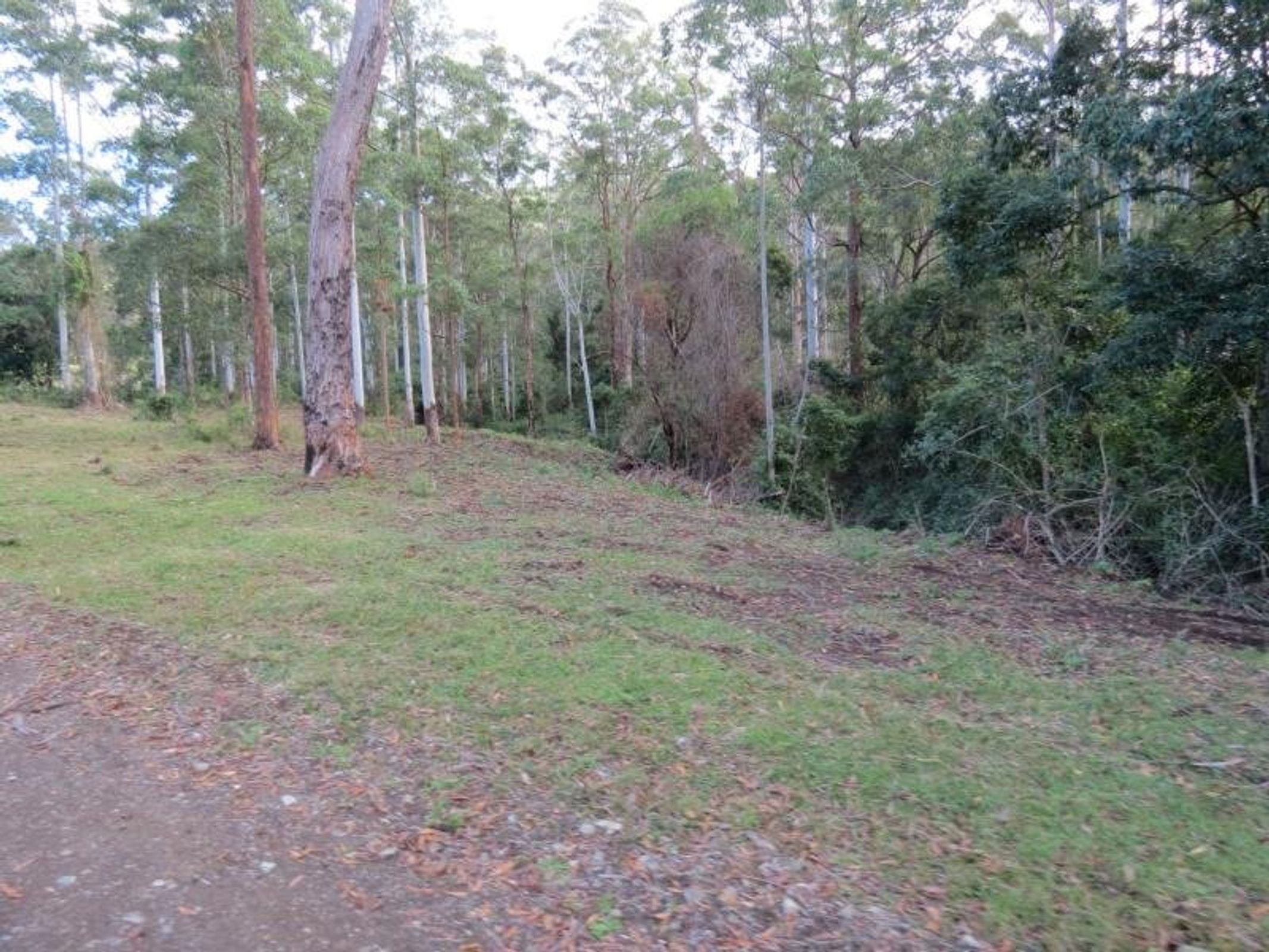 Wingham, Wingham - Thumbnail 5