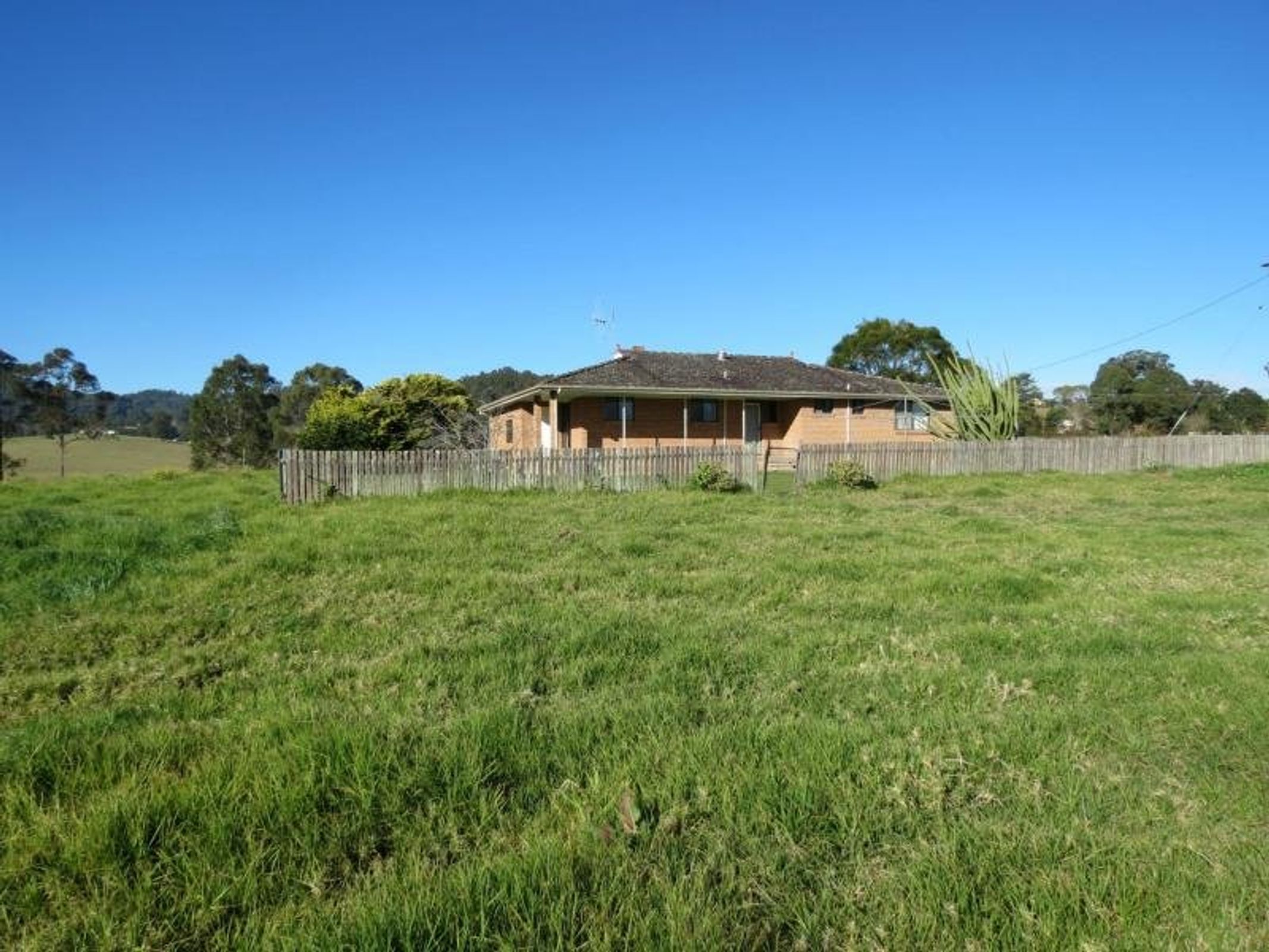 Taree, Taree - Thumbnail 3