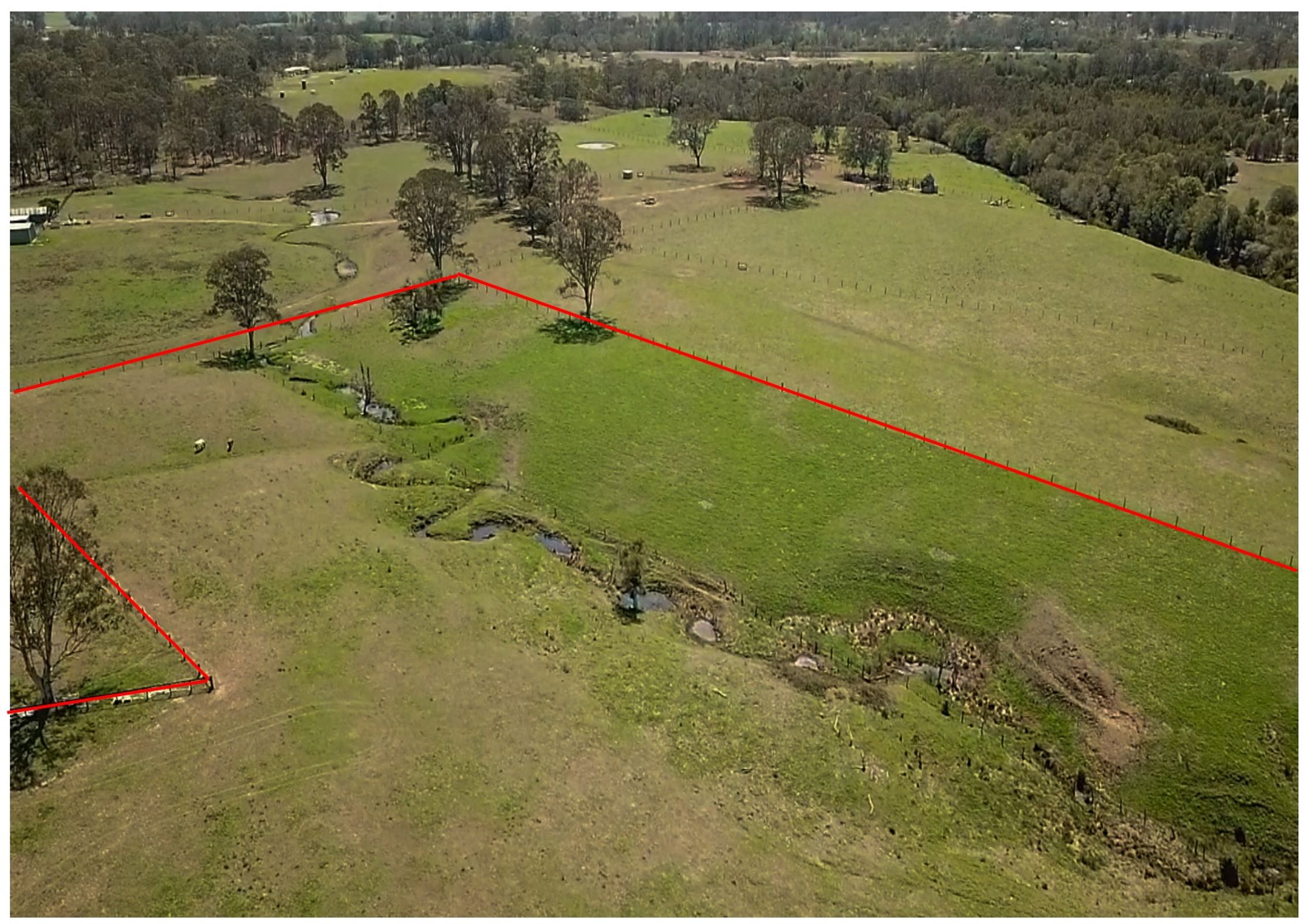 256 Comboyne Road, Wingham, Wingham - Thumbnail 5