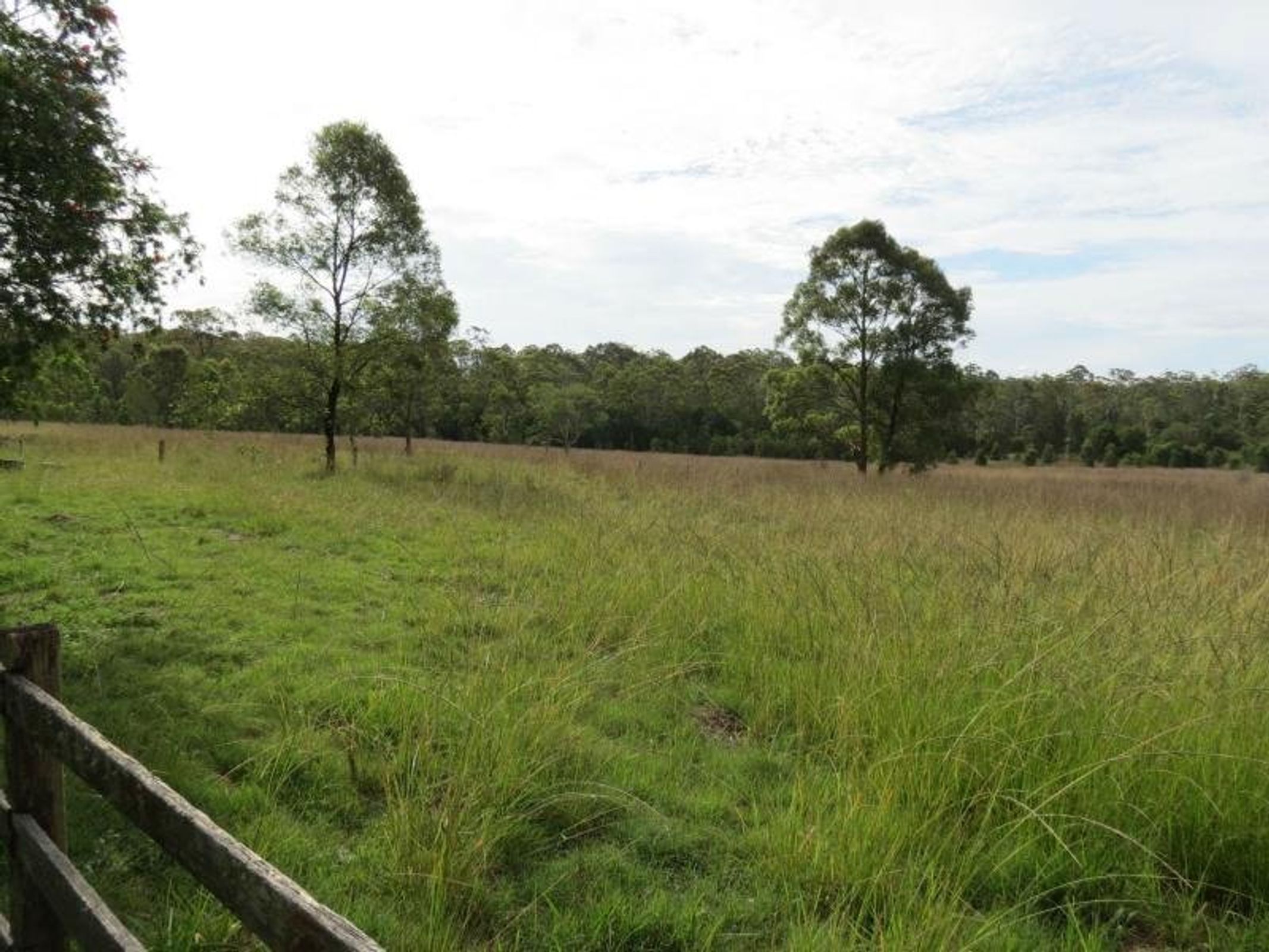 Taree, Taree - Thumbnail 4