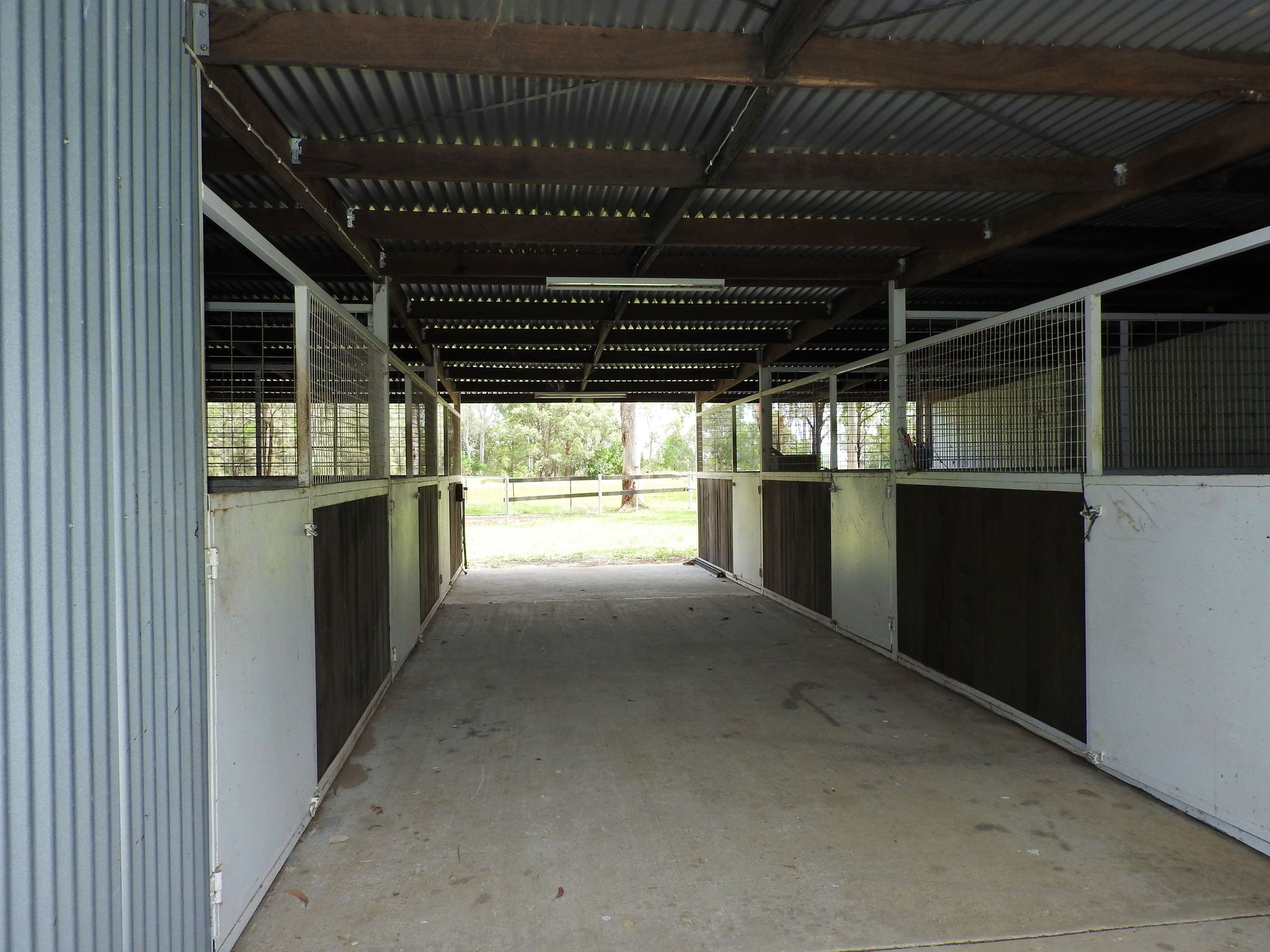 Taree, Taree - Thumbnail 4