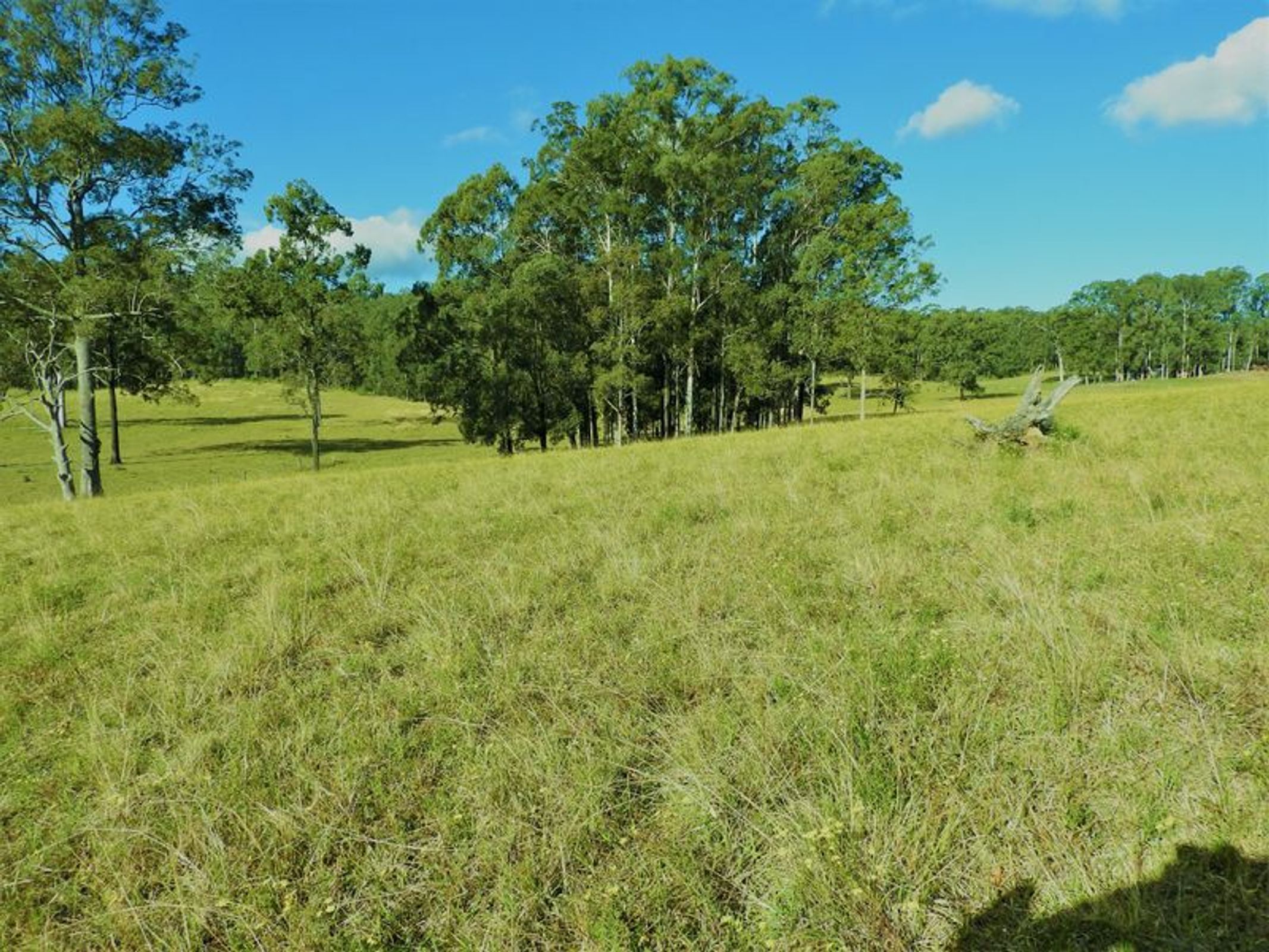 Upper Lansdowne, Upper Lansdowne - Thumbnail 2