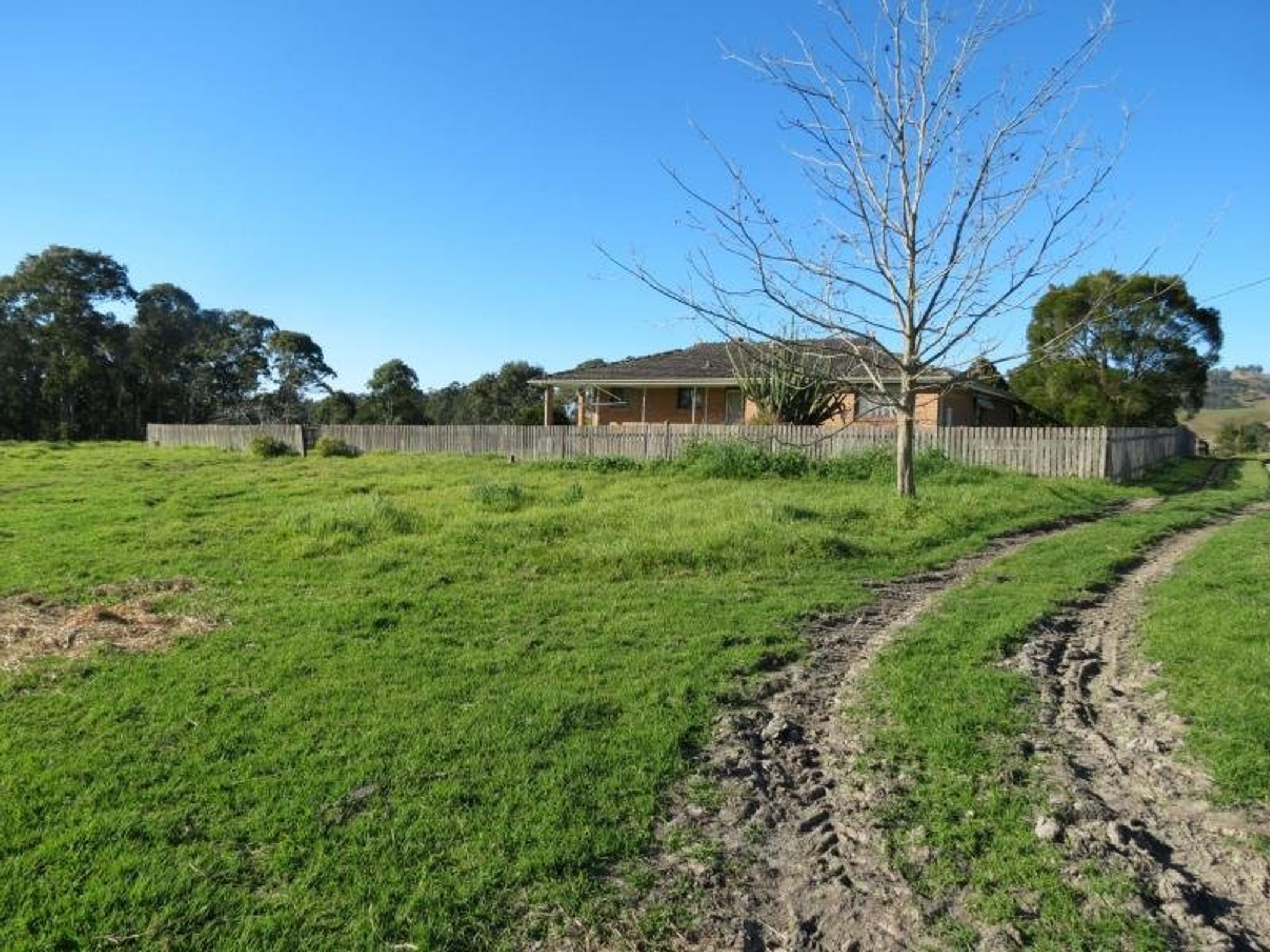 Taree, Taree - Thumbnail 2