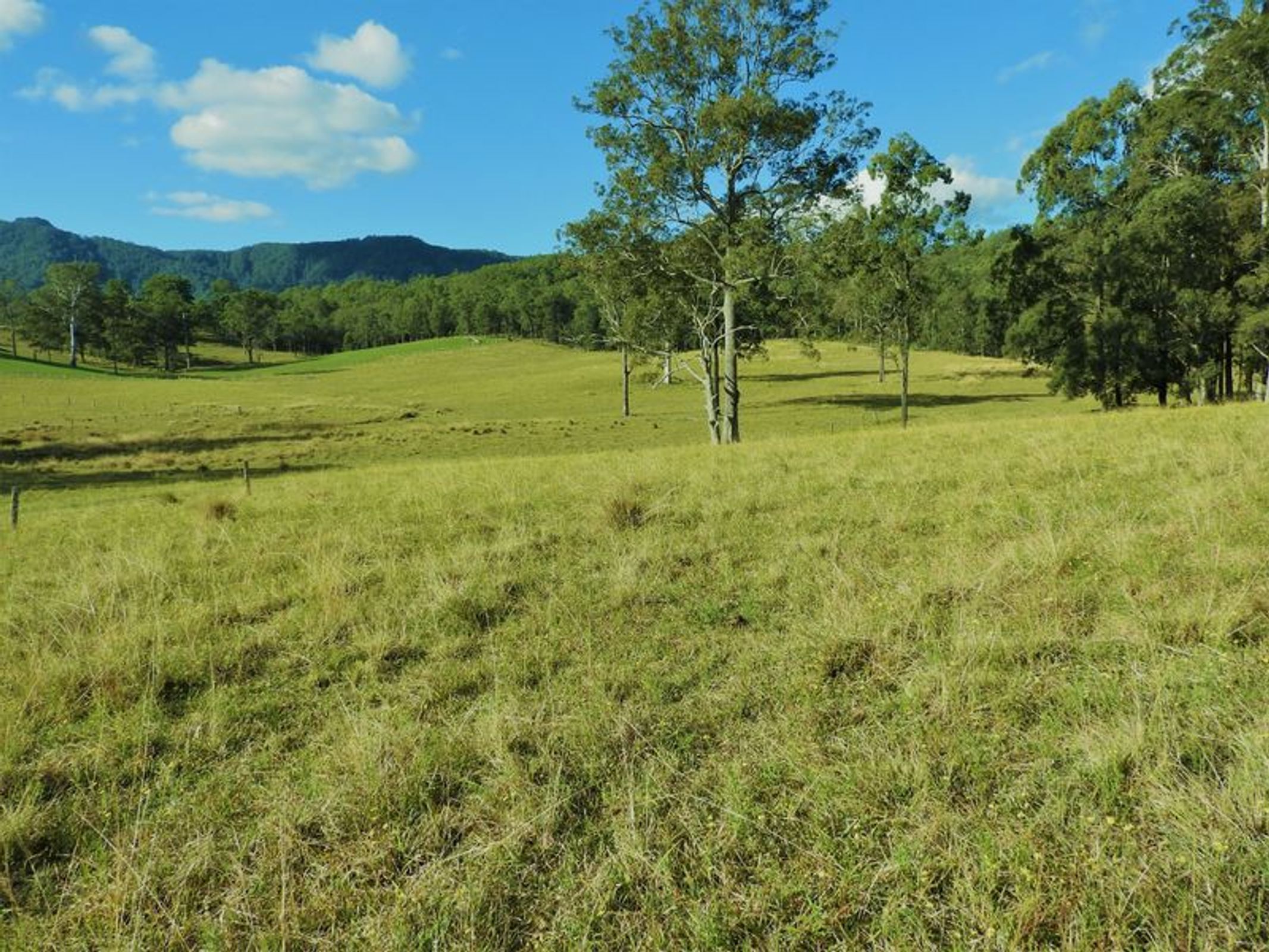 Upper Lansdowne, Upper Lansdowne - Thumbnail 3