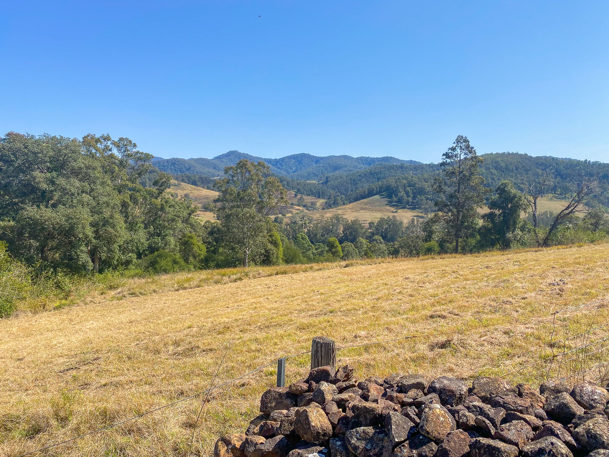 238 Caparra Rd, Wherrol Flat, Wherrol Flat - Thumbnail 2