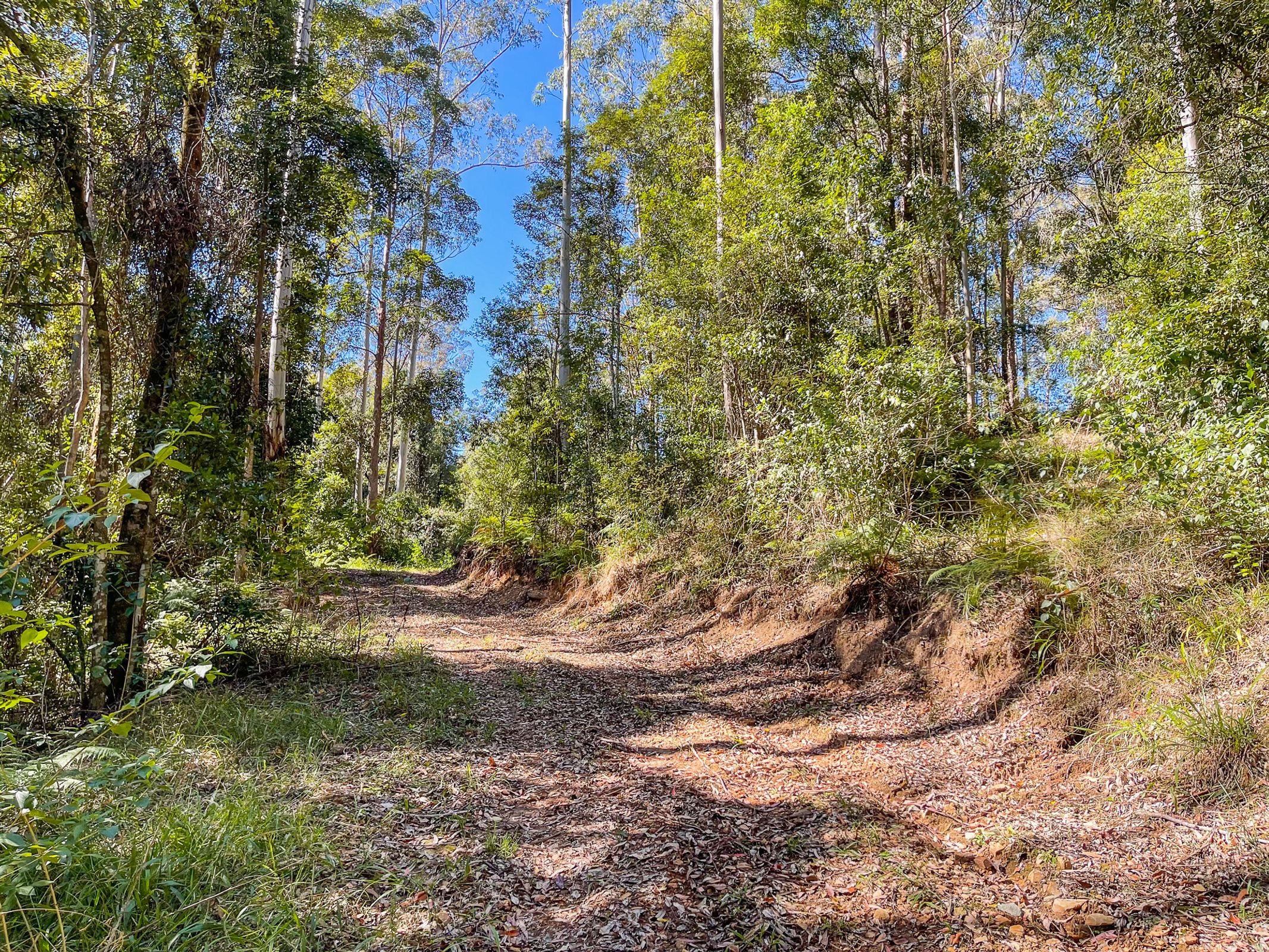 535 Waitui Road, Waitui, Waitui - Thumbnail 4