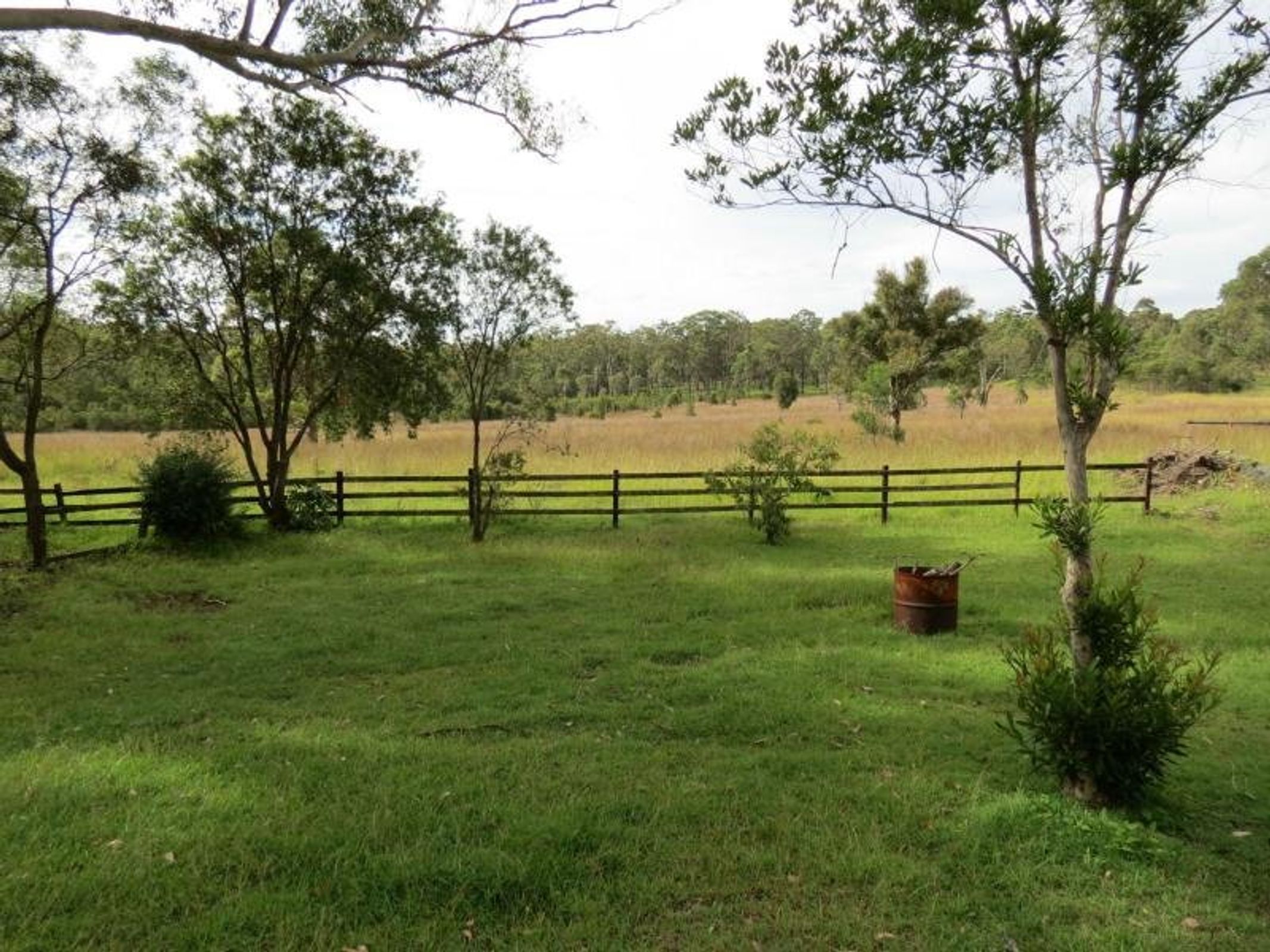 Taree, Taree - Thumbnail 3