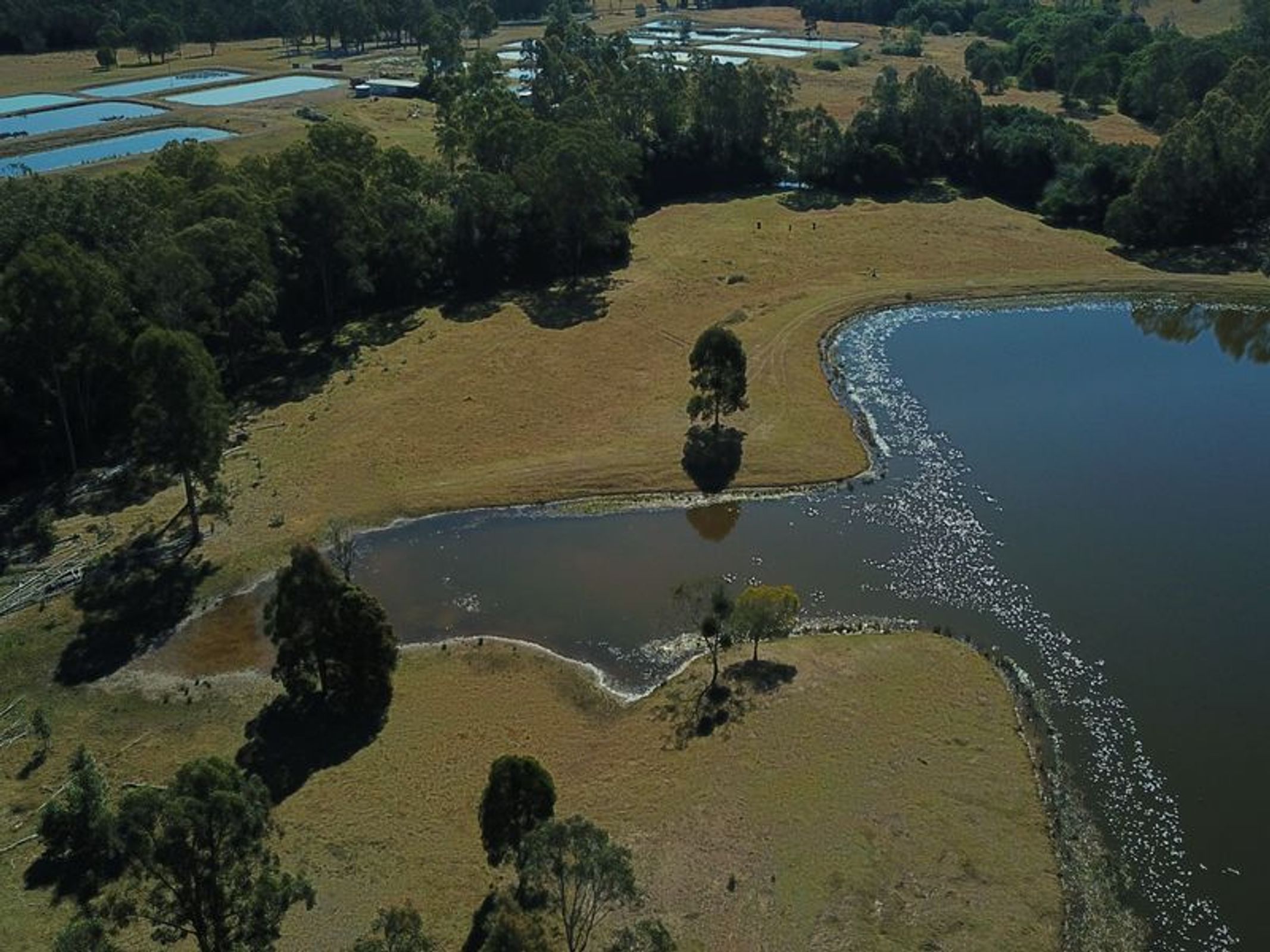 Taree, Taree - Thumbnail 2