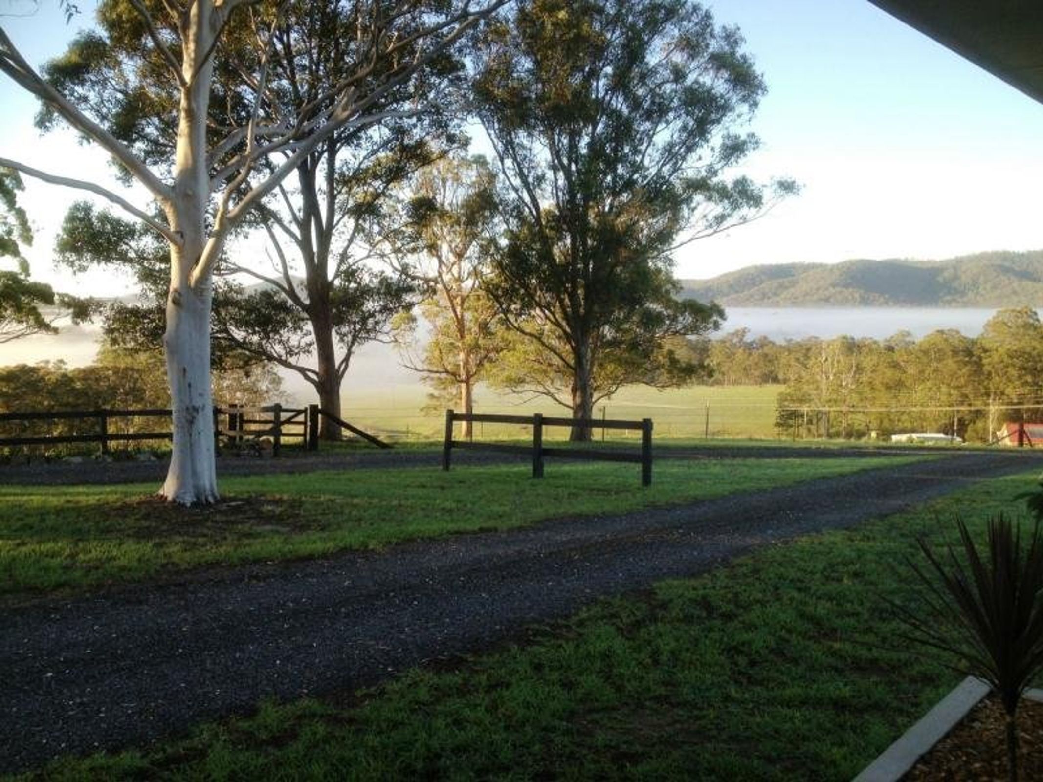 Taree, Taree - Thumbnail 5
