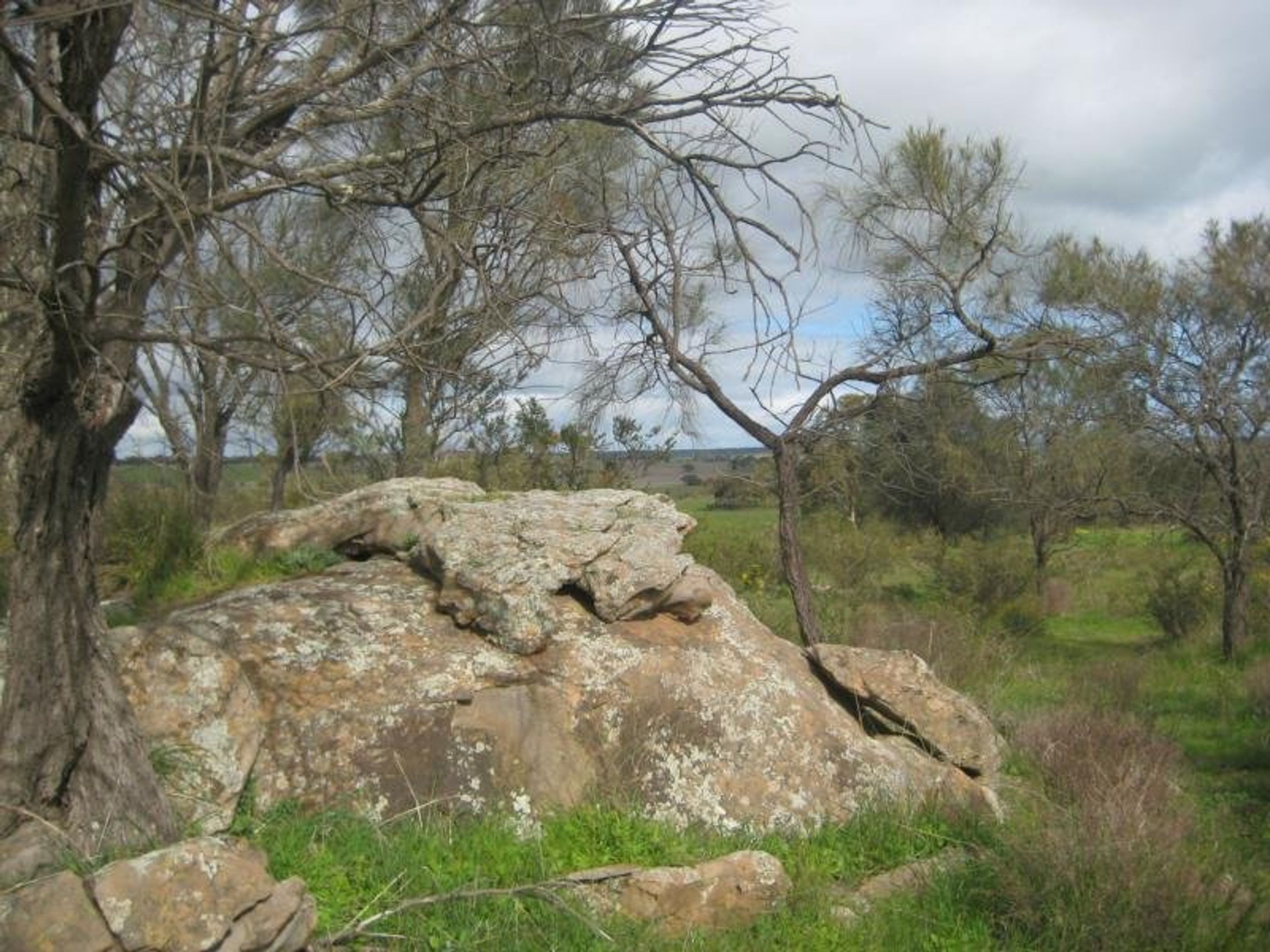 Lot 96 Anders Road, Rockleigh, SA 5254, Rockleigh - Thumbnail 5