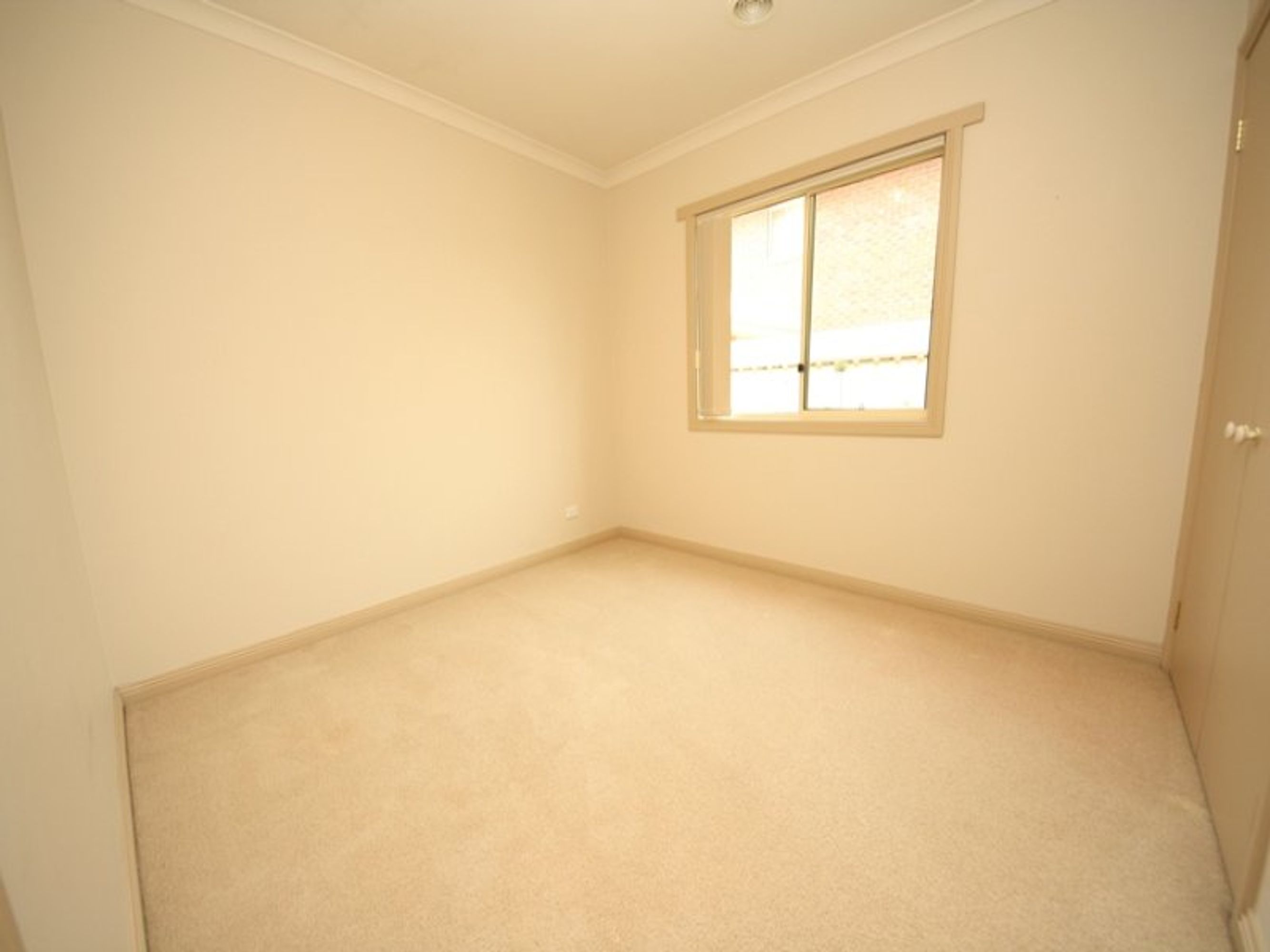 1 Withell Street, Horsham VIC 3400, Horsham - Thumbnail 4