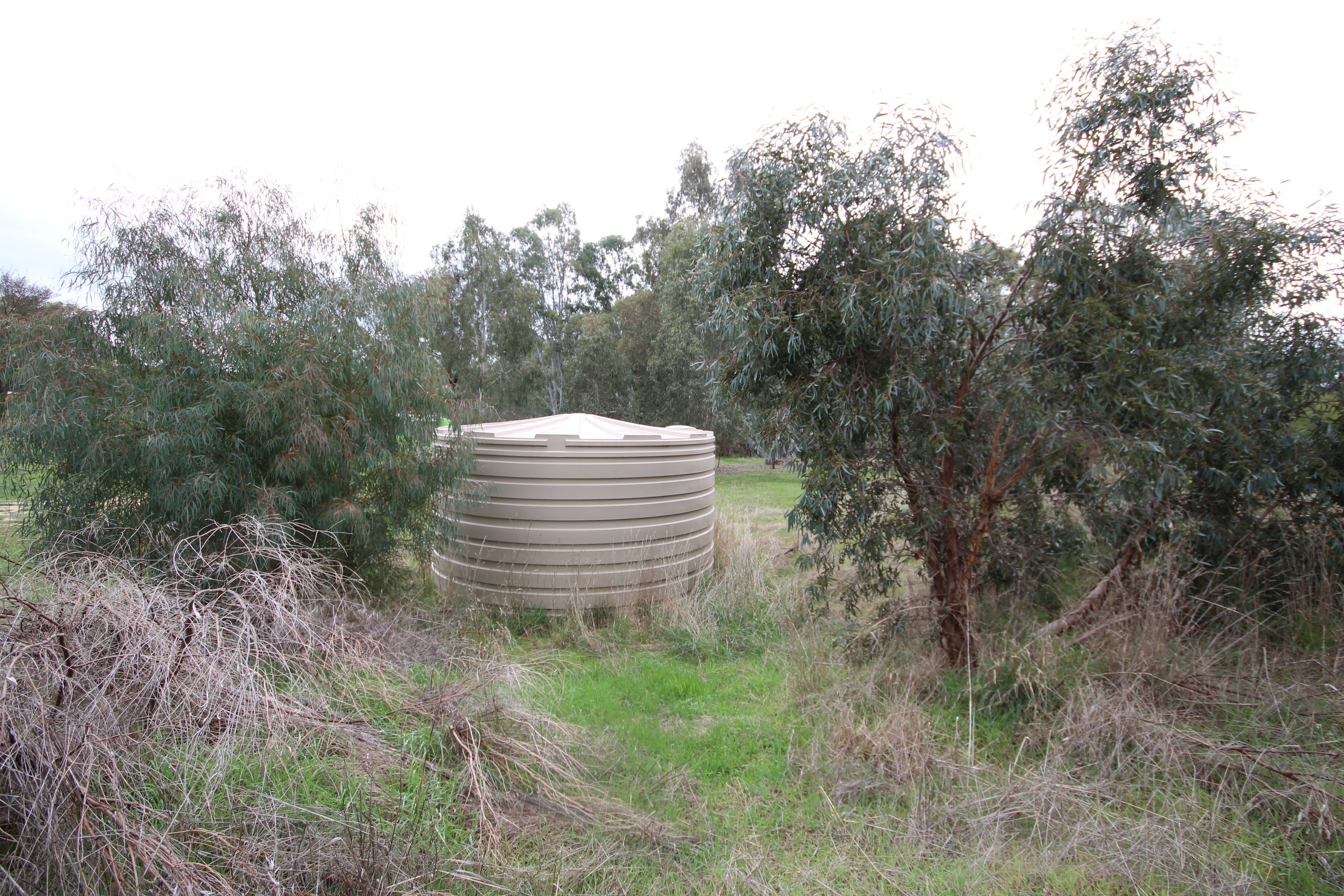 98 Murray Road, Carapooee VIC 3477, Carapooee - Thumbnail 5