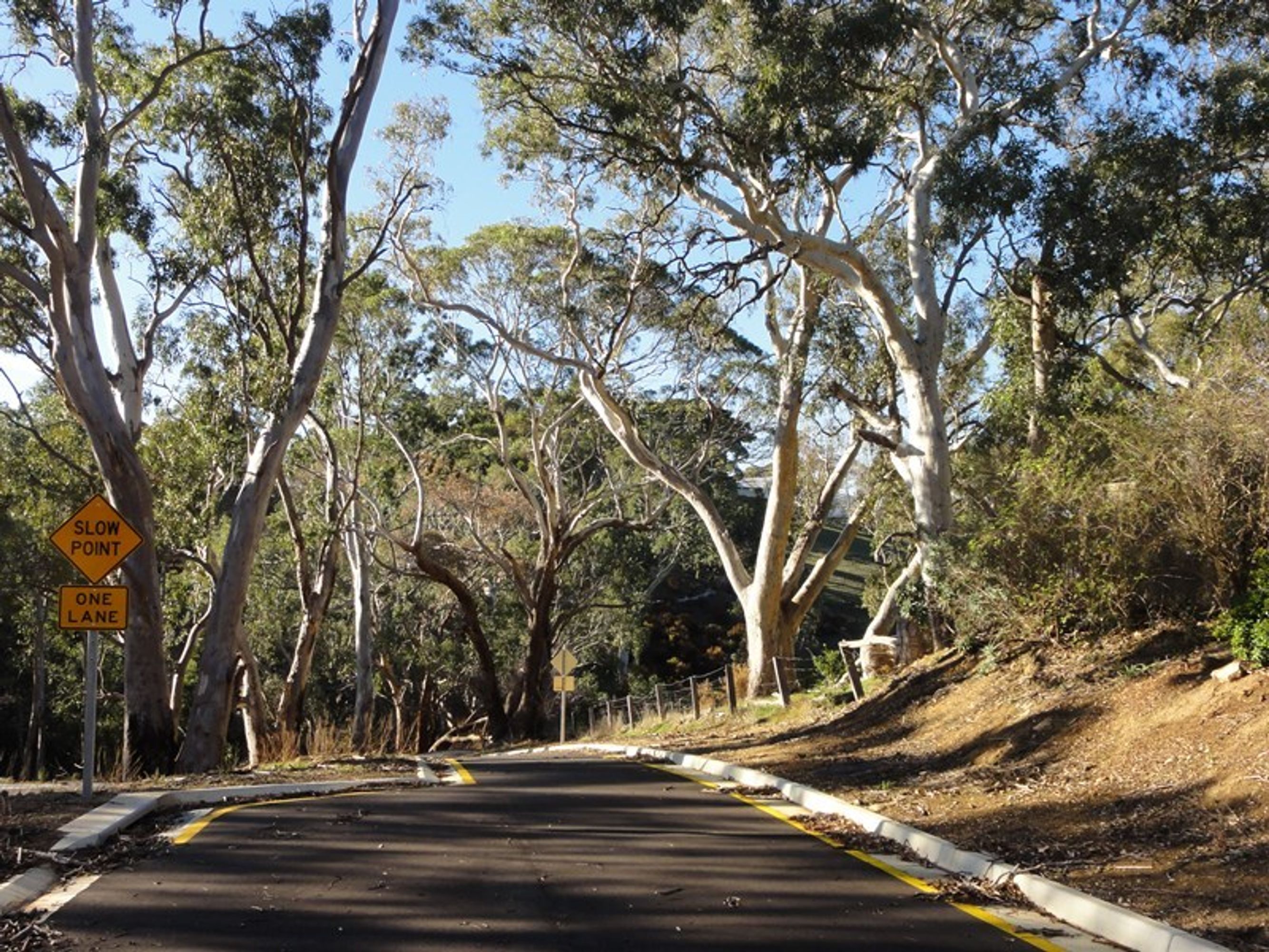 7 Gratwick Street, Echunga, SA 5153, Echunga - Thumbnail 2