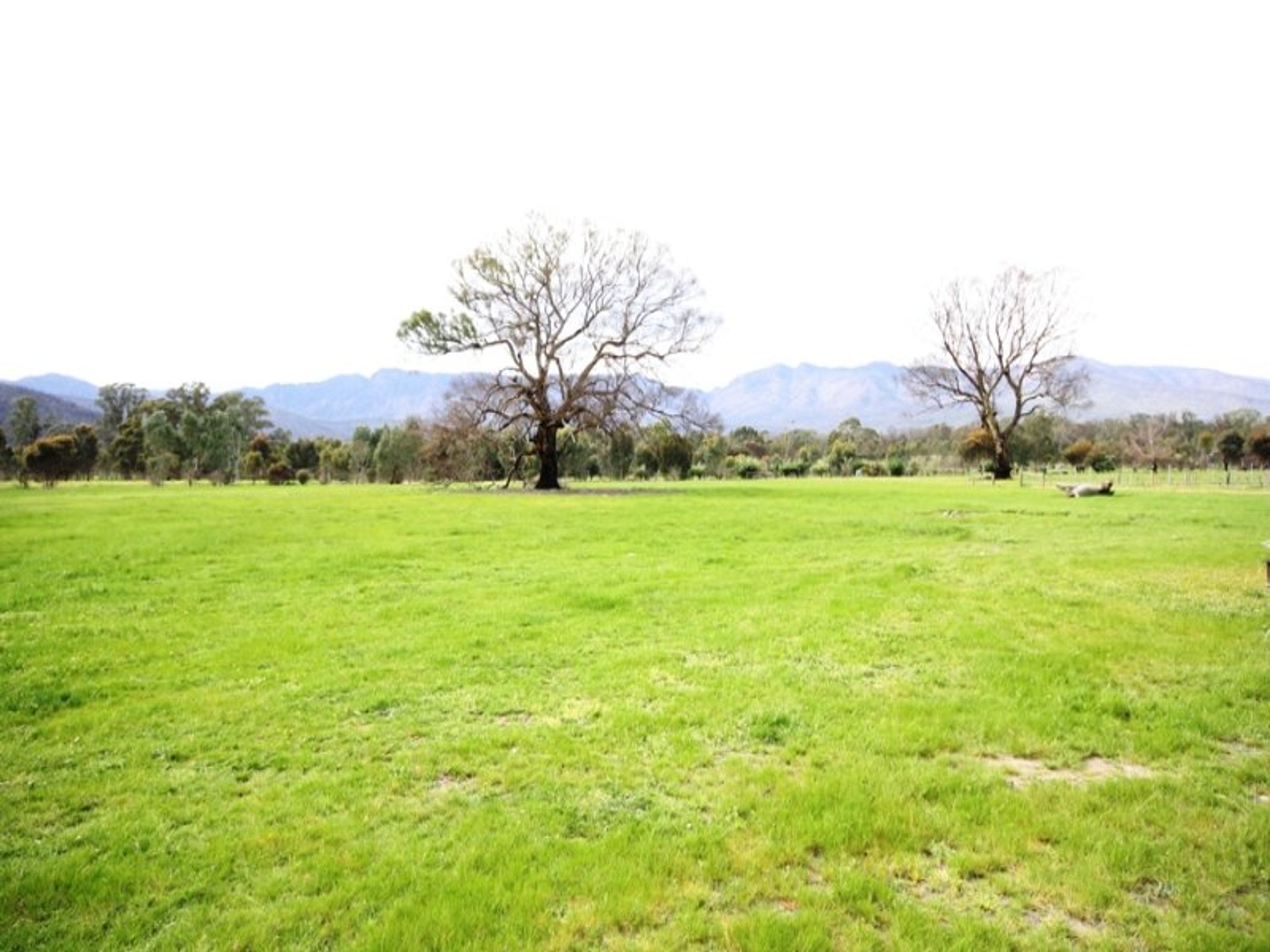2484 Roses Gap Road, Wartook VIC 3401, Wartook - Thumbnail 8