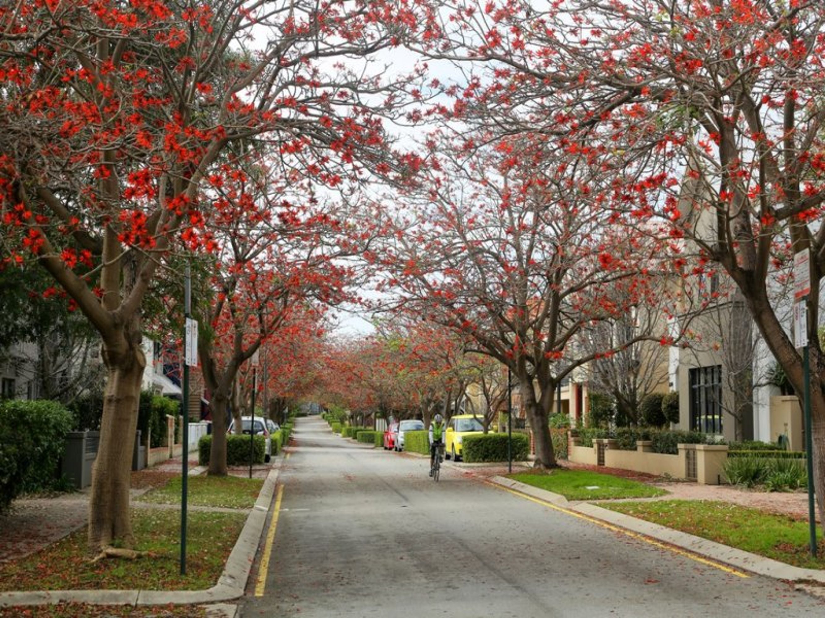 30A Coral Tree Avenue, Subiaco, WA 6008, Subiaco - Thumbnail 2