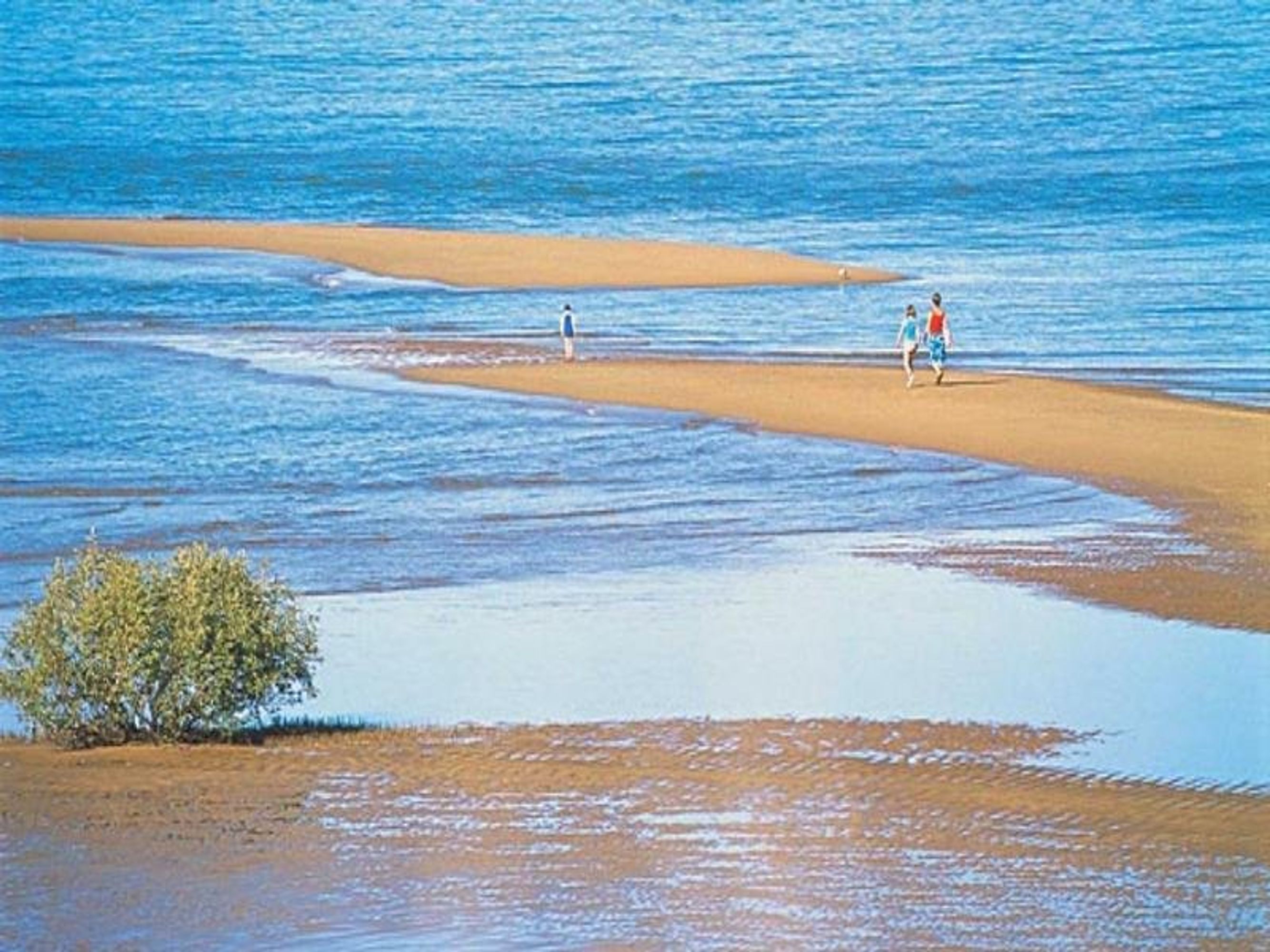 Lot 515, 38 Counihan Crescent, Port Hedland, Port Hedland - Thumbnail 3