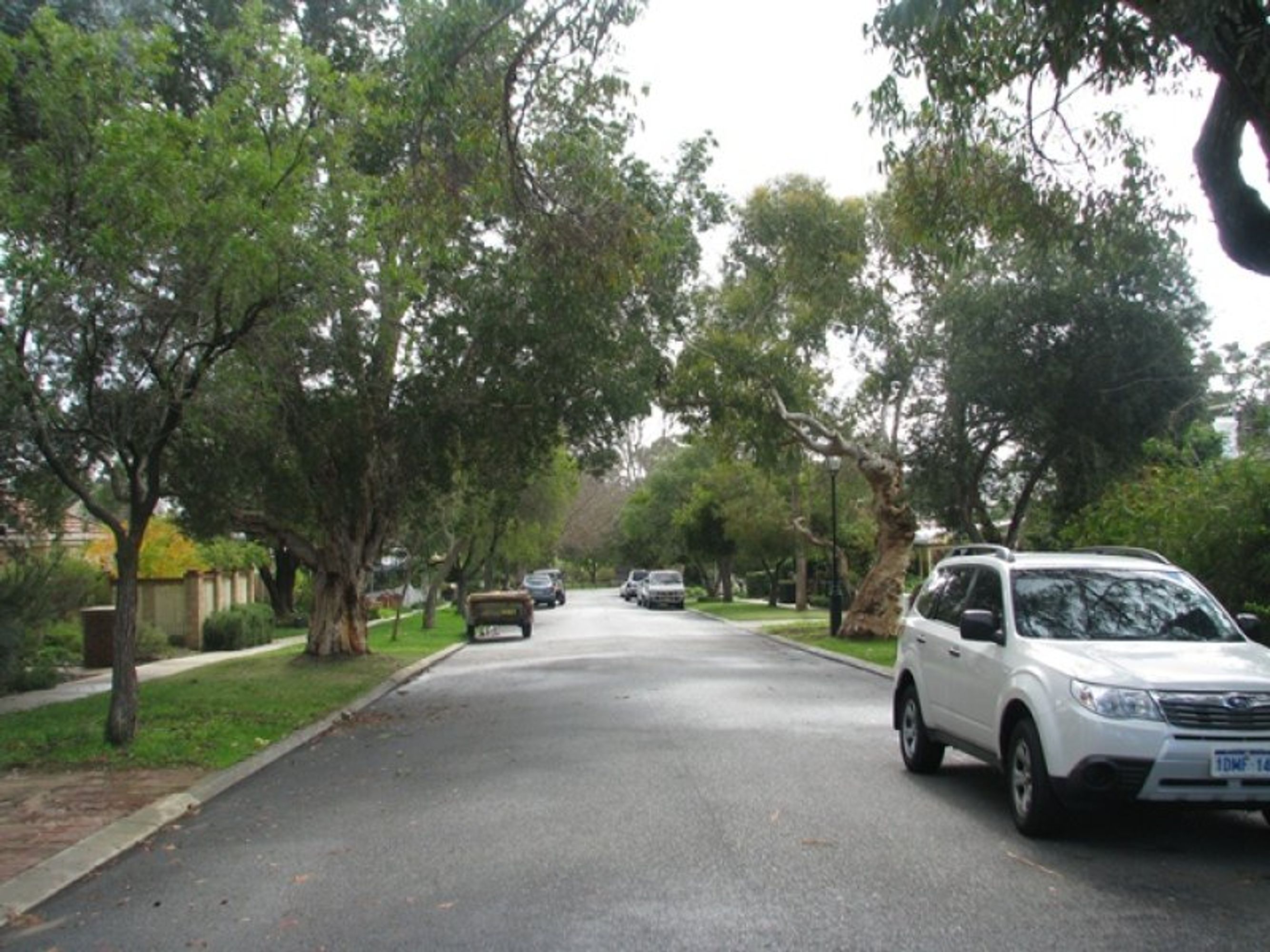 8 Rosebery Street, Jolimont - Thumbnail 5