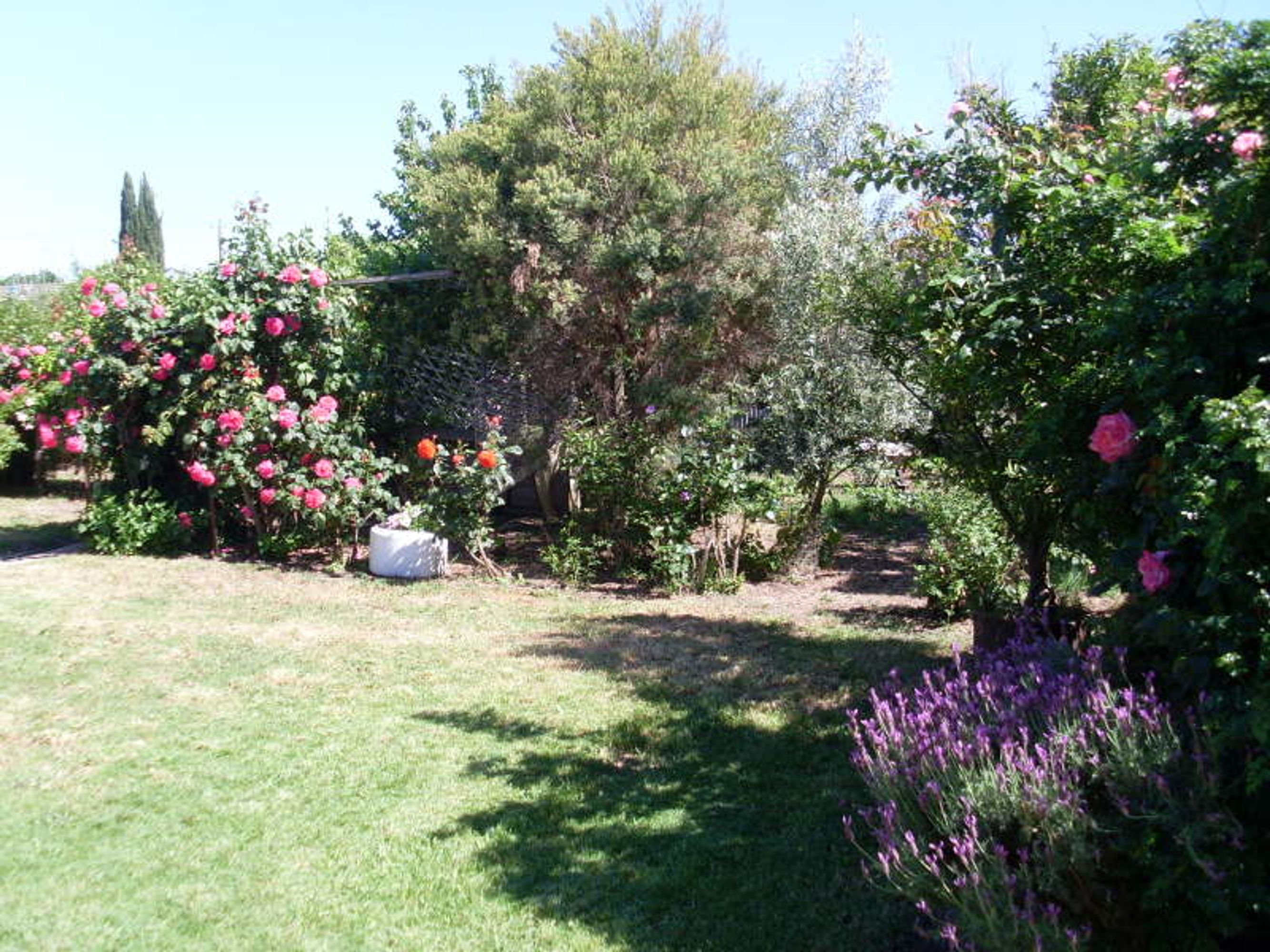 30 Federation Avenue, Horsham VIC 3400, Horsham - Thumbnail 5