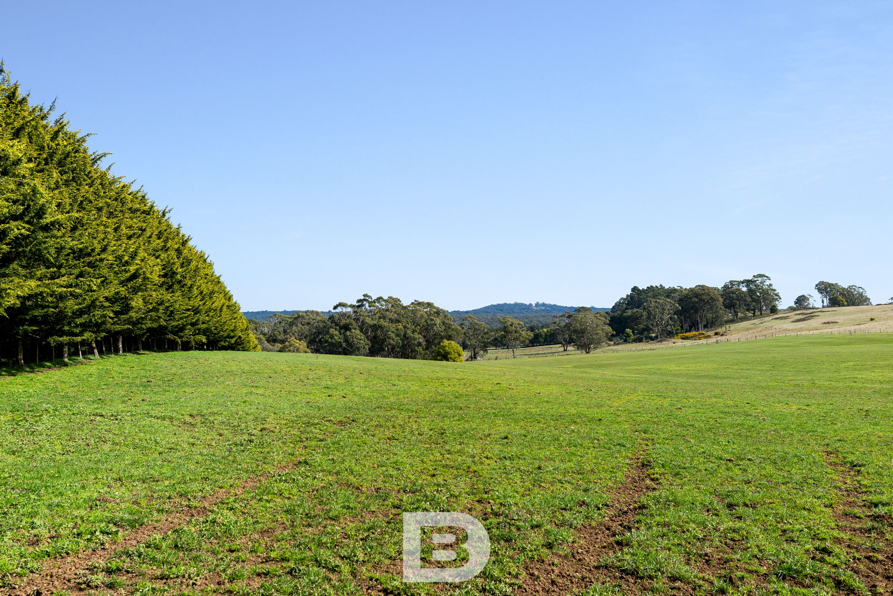 2 Olearys Lane, Spring Hill - Thumbnail 5