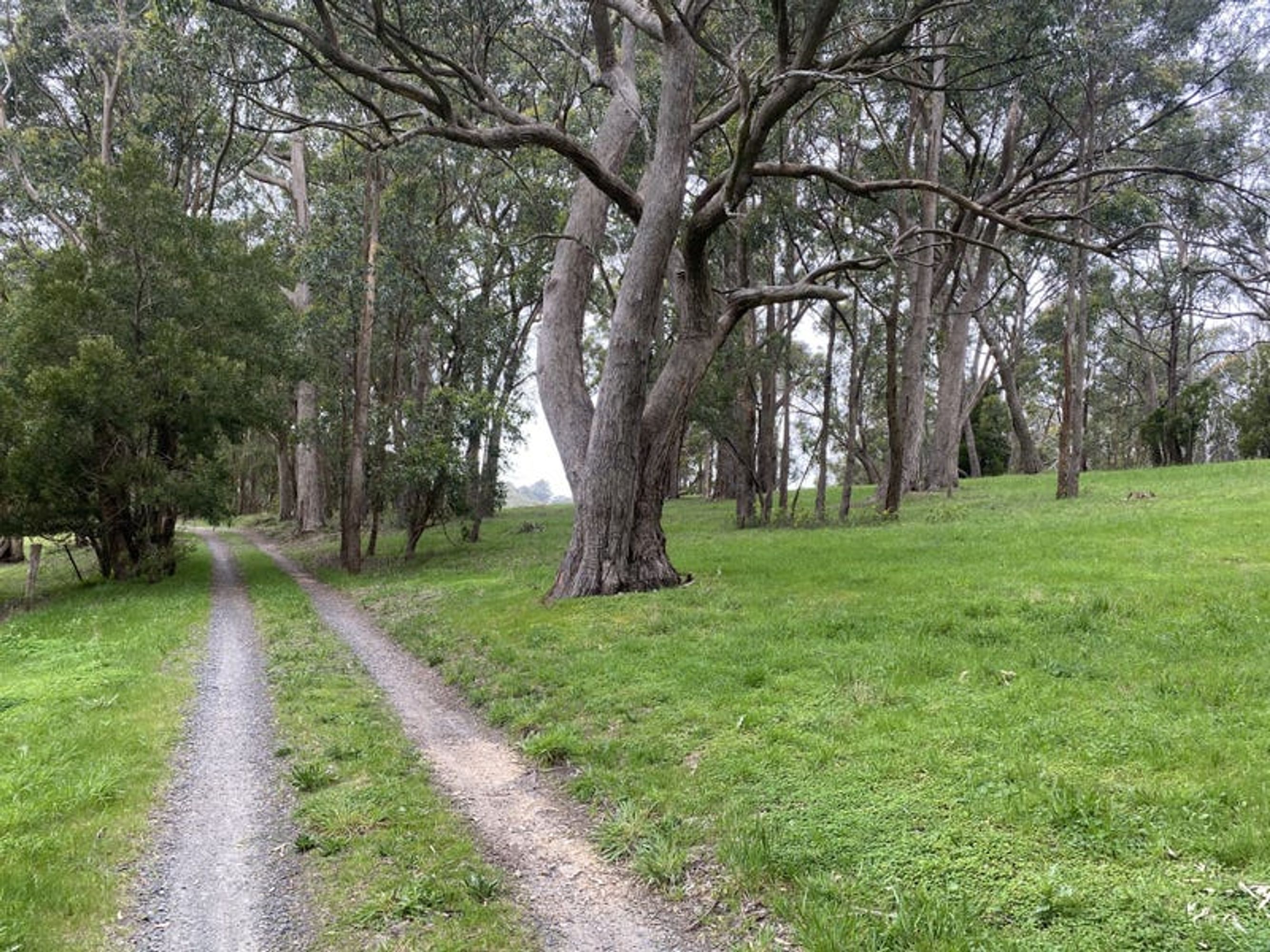 Lot 211 Sharps Road, Carey Gully, SA 5144, Carey Gully - Thumbnail 7