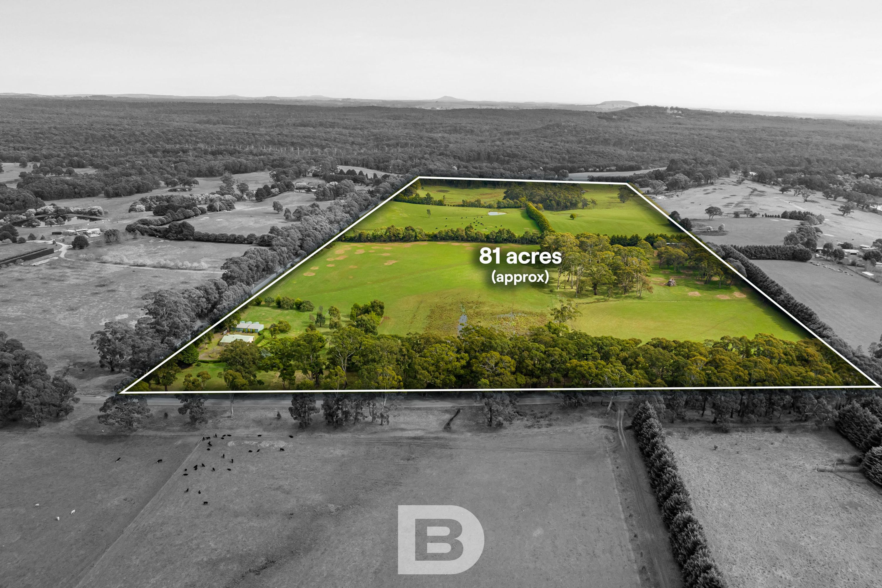 2 Olearys Lane, Spring Hill - Thumbnail 4