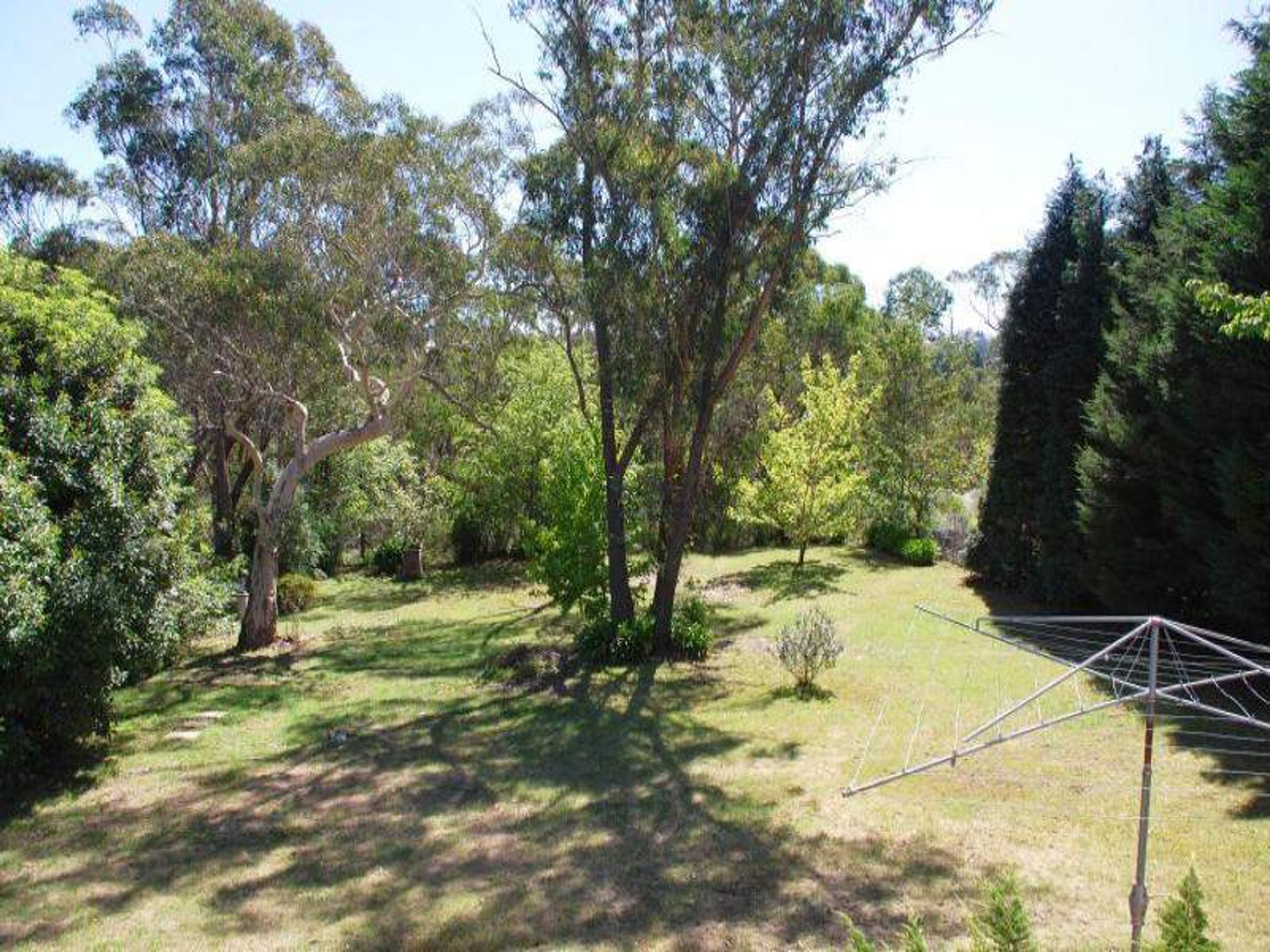 57 Jersey Ave, Leura - Thumbnail 4