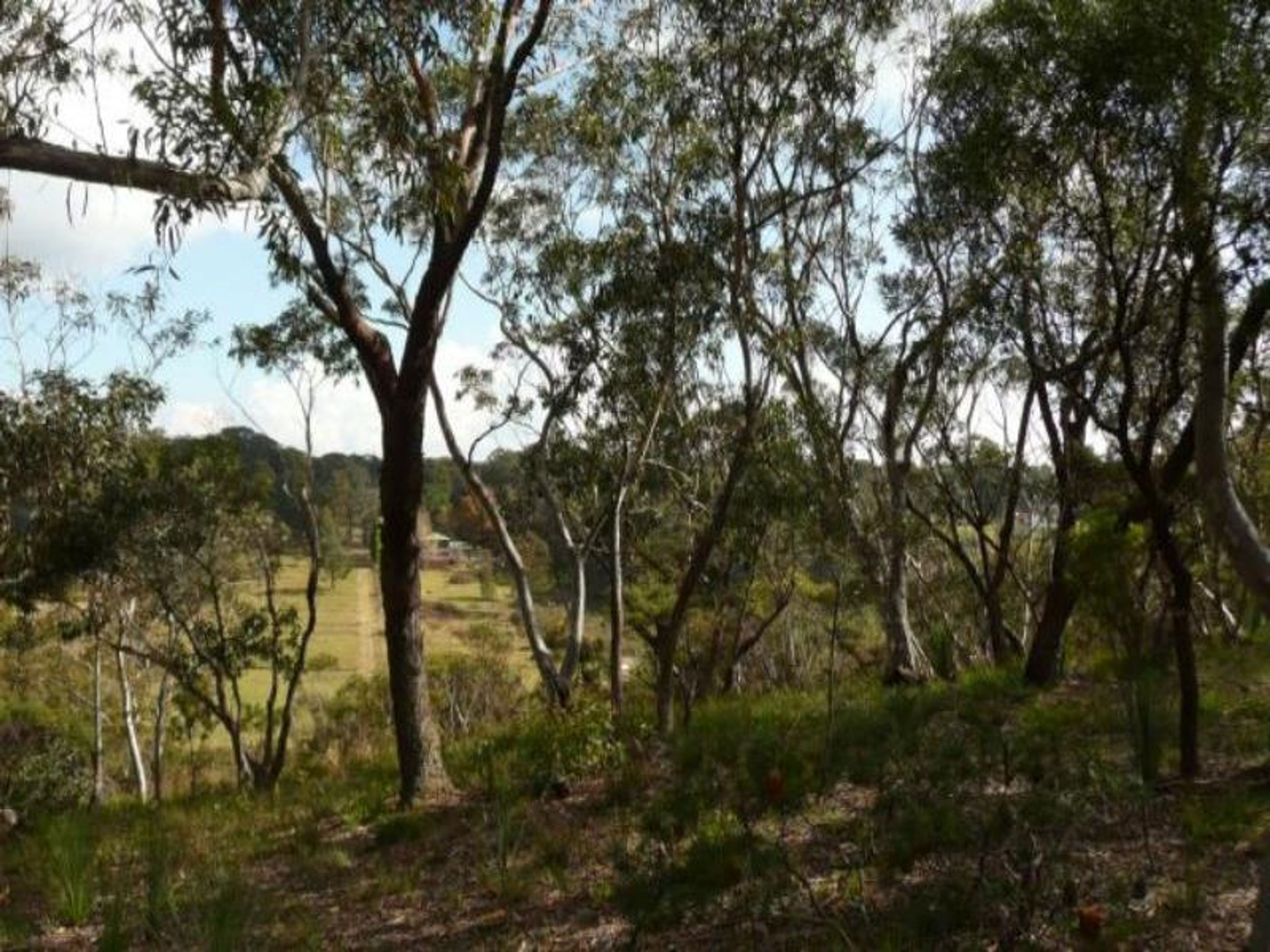 68 First Ave, Katoomba - Thumbnail 2
