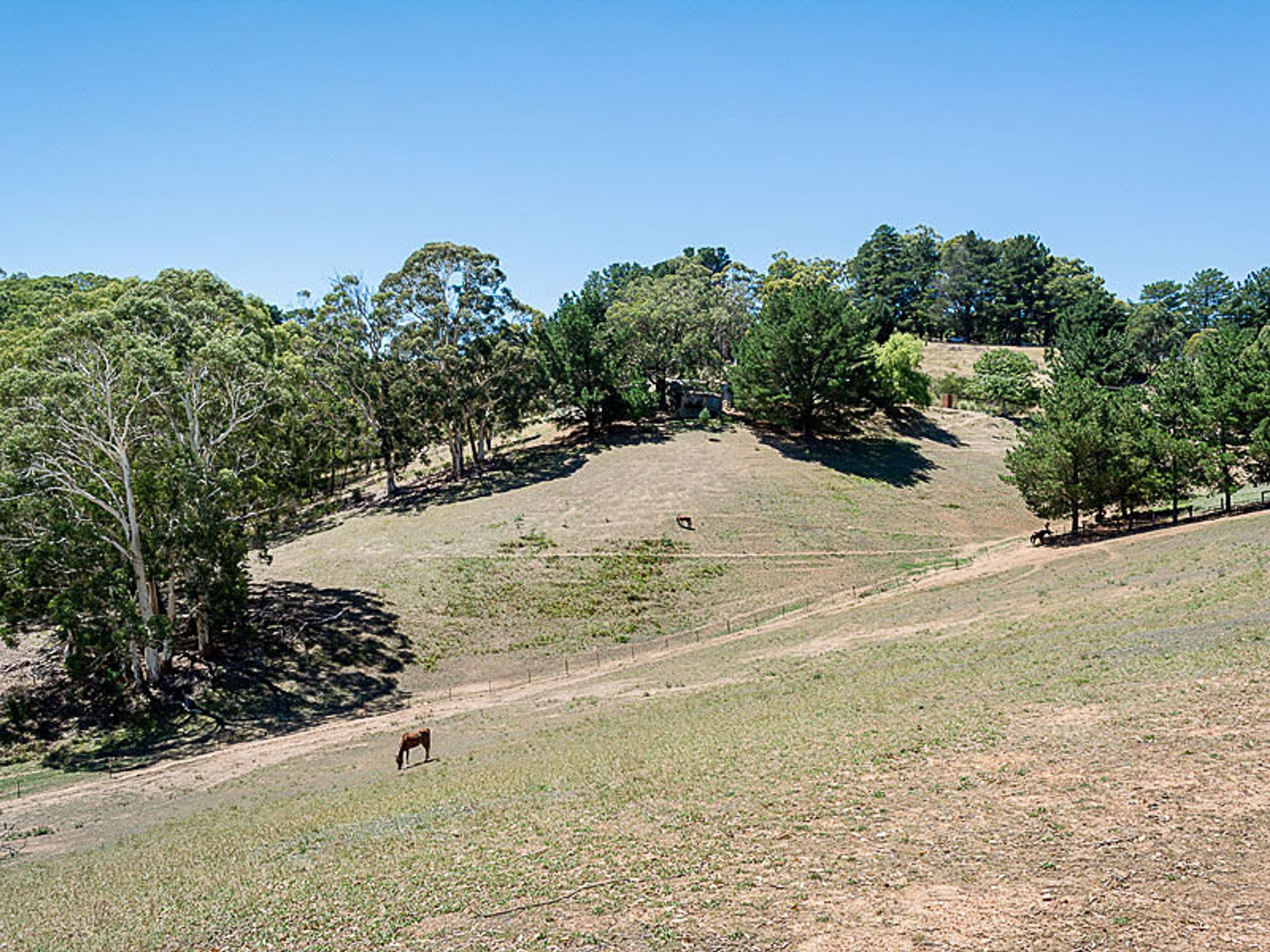 47 Debneys Road, Norton Summit, SA 5136, Norton Summit - Thumbnail 4