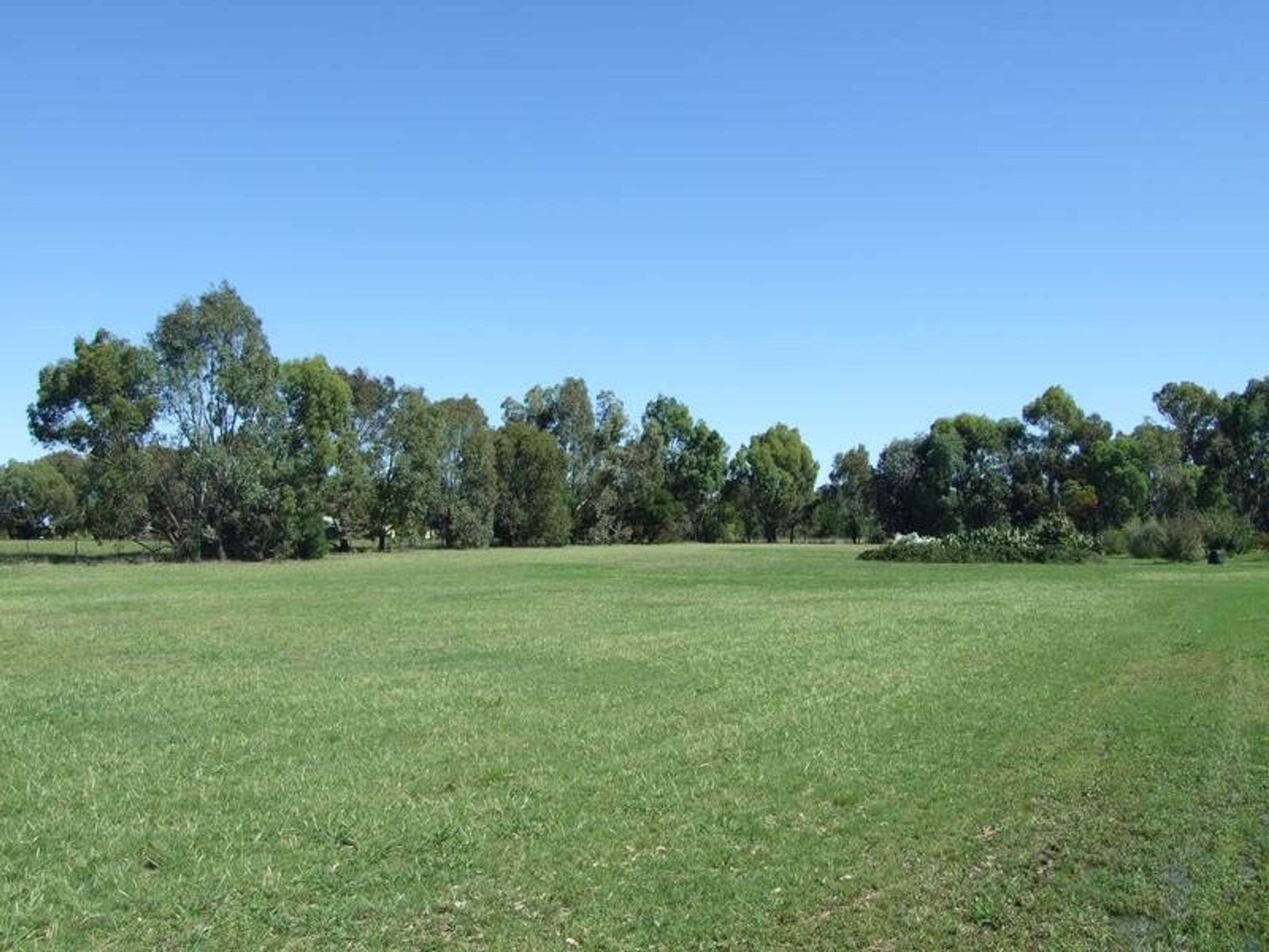 wangaratta, Wangaratta - Thumbnail 3