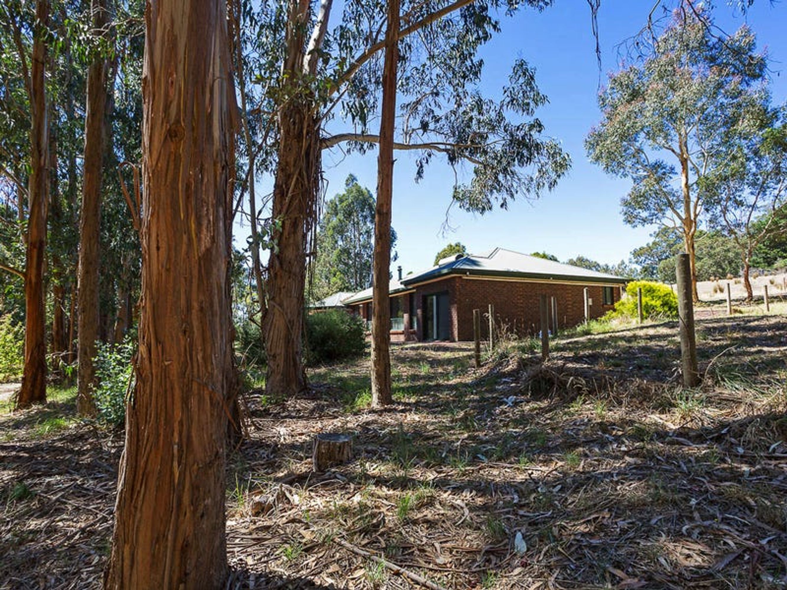64 Tregarthen Rd, Summertown, SA 5141, Summertown - Thumbnail 4