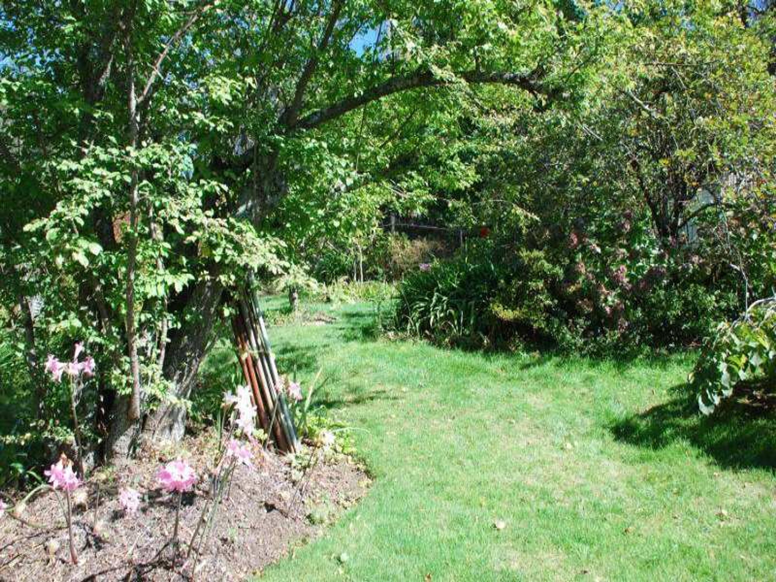 40 York St, Katoomba - Thumbnail 7