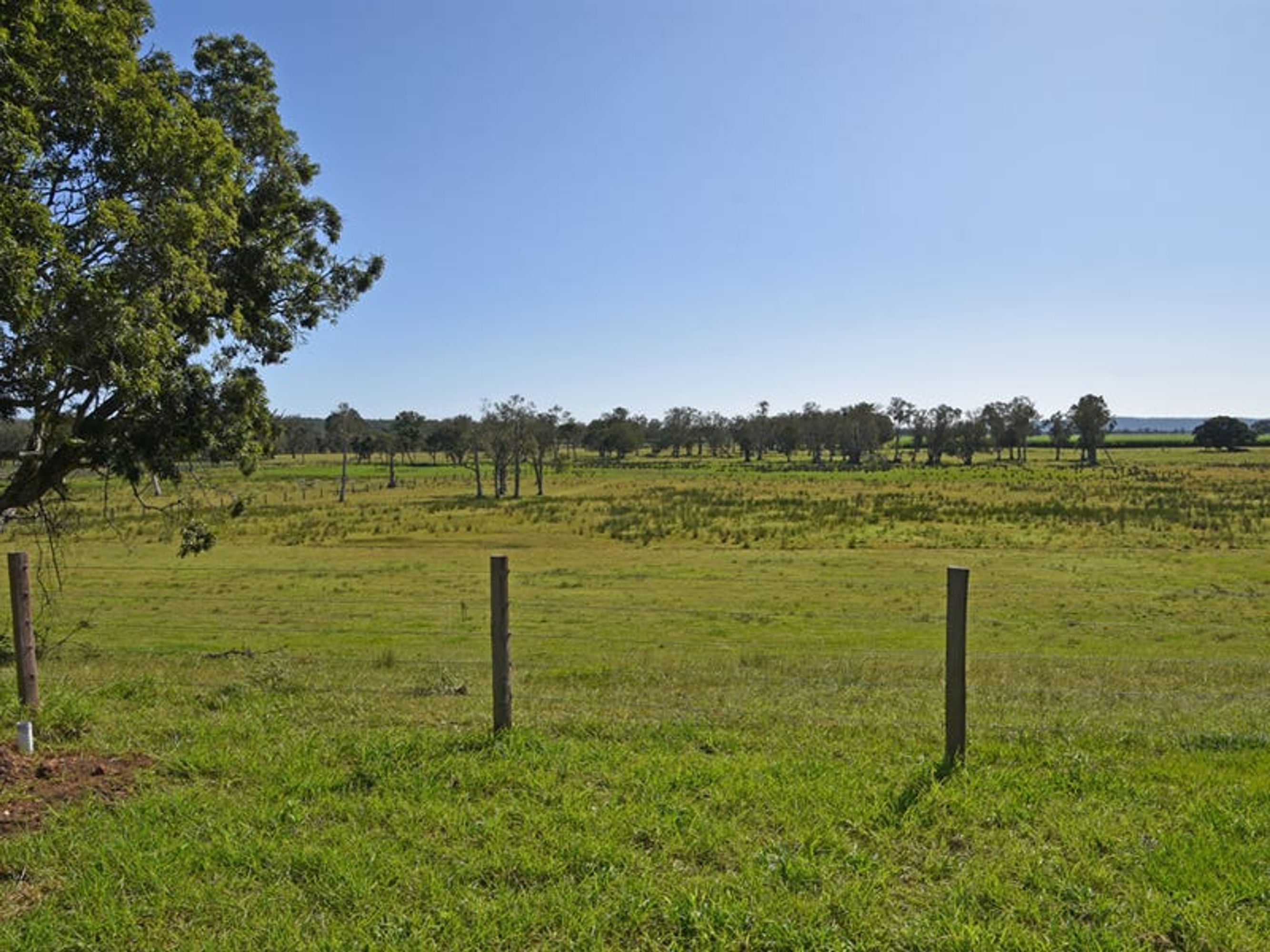 11 Kings Creek Road, Lawrence - Thumbnail 4