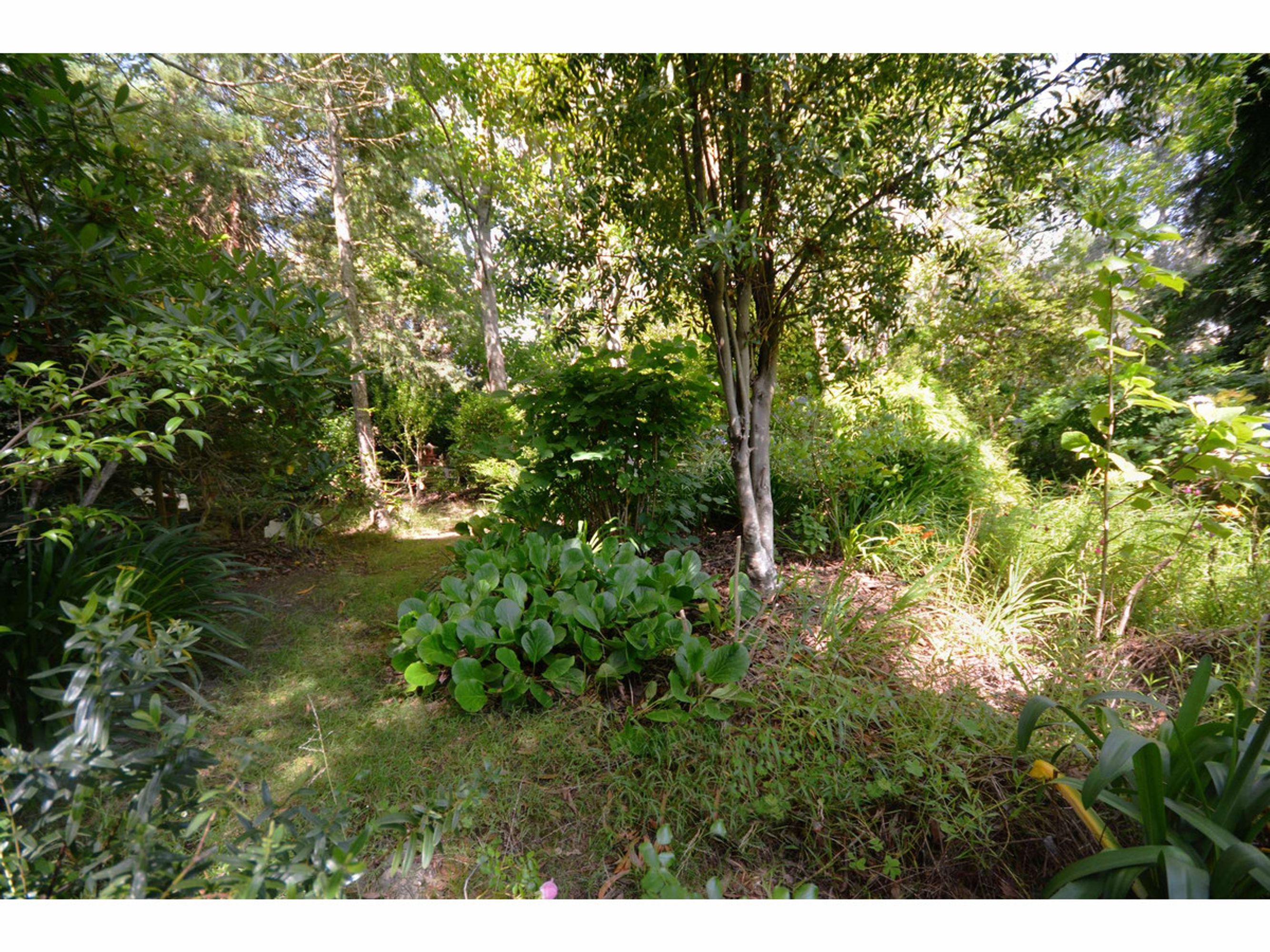 54 Rawson Parade, Leura - Thumbnail 5