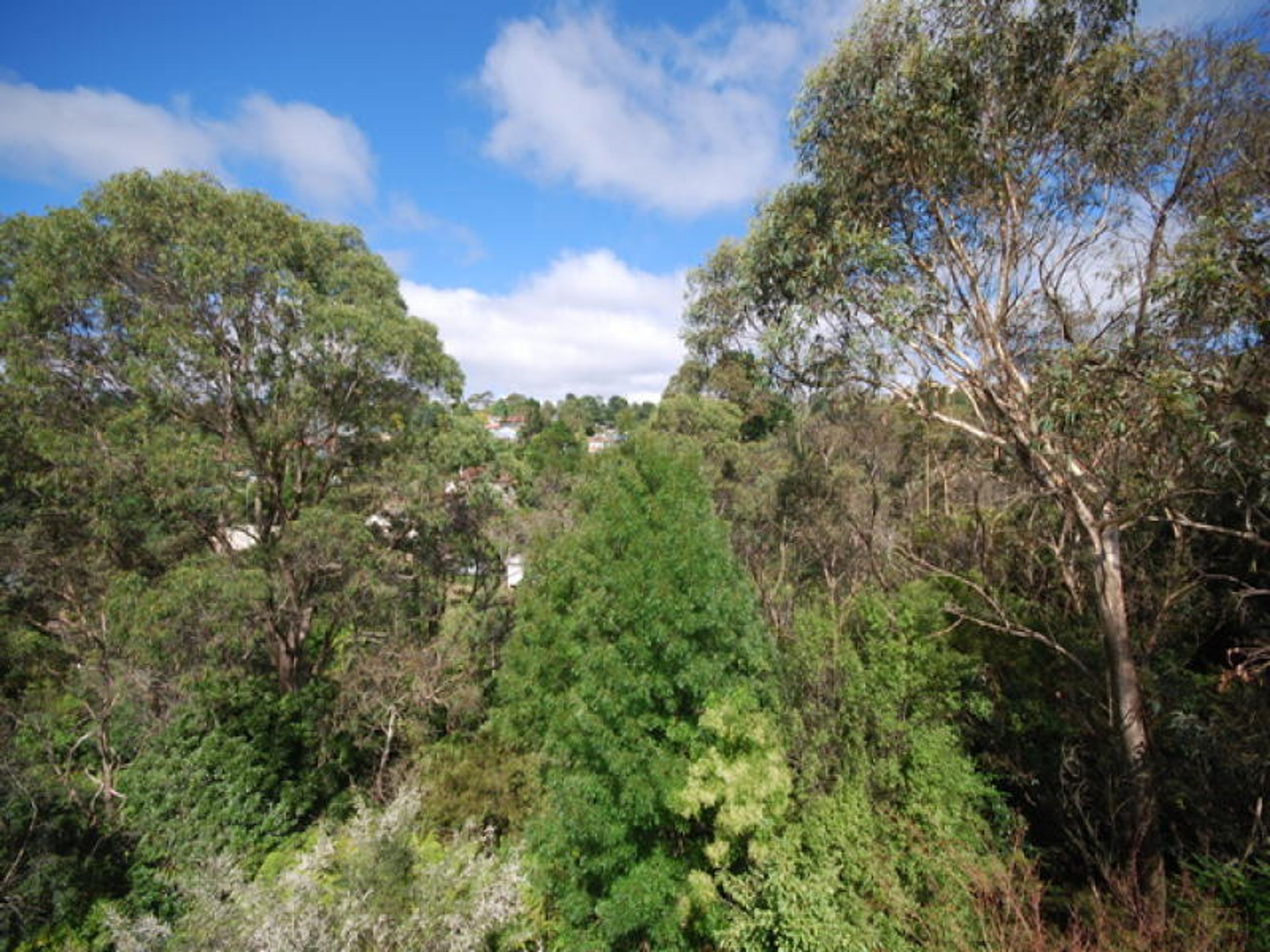 8 Wilson Street, Katoomba - Thumbnail 7