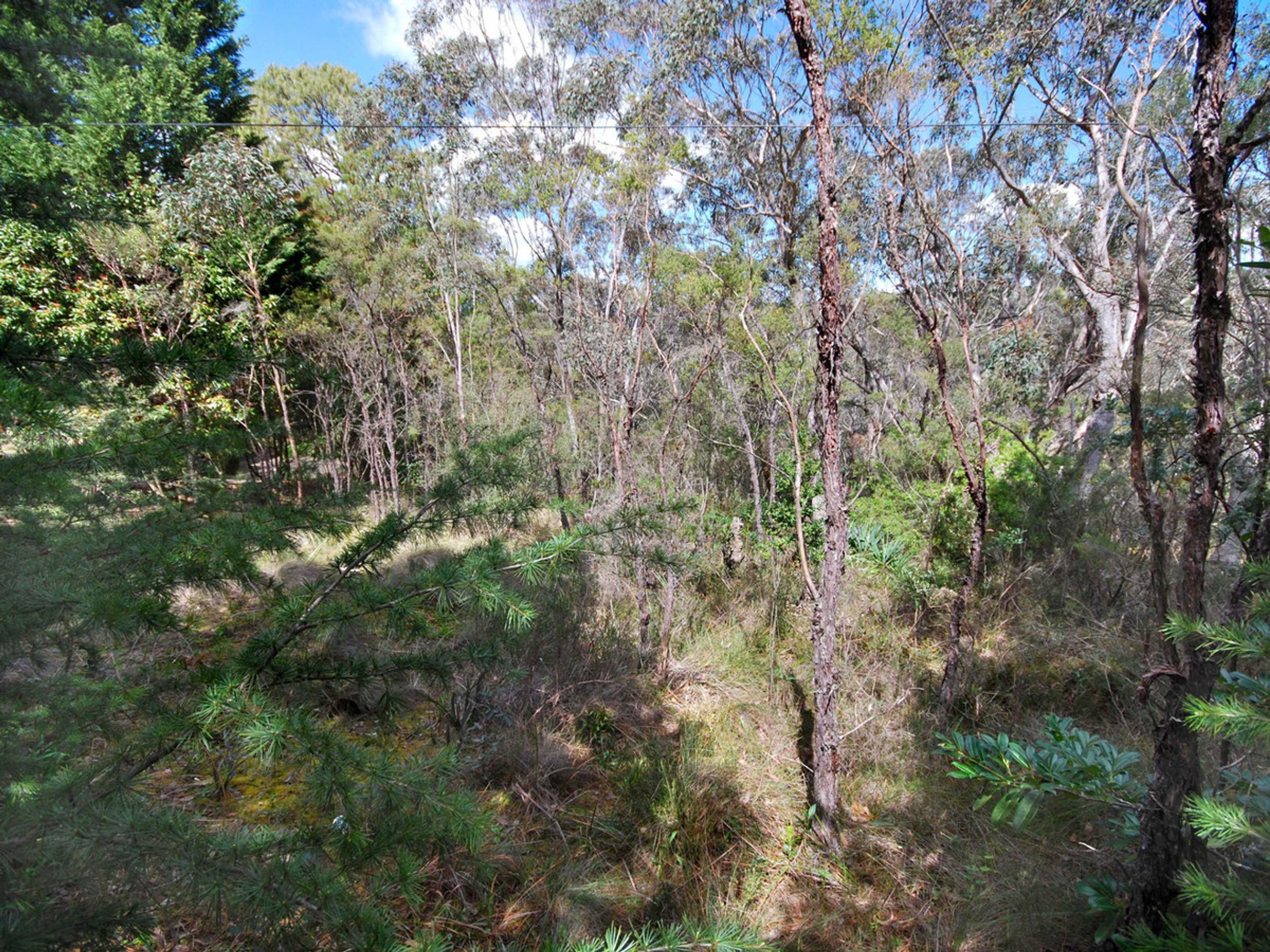 20 Lake Street, Wentworth Falls - Thumbnail 3