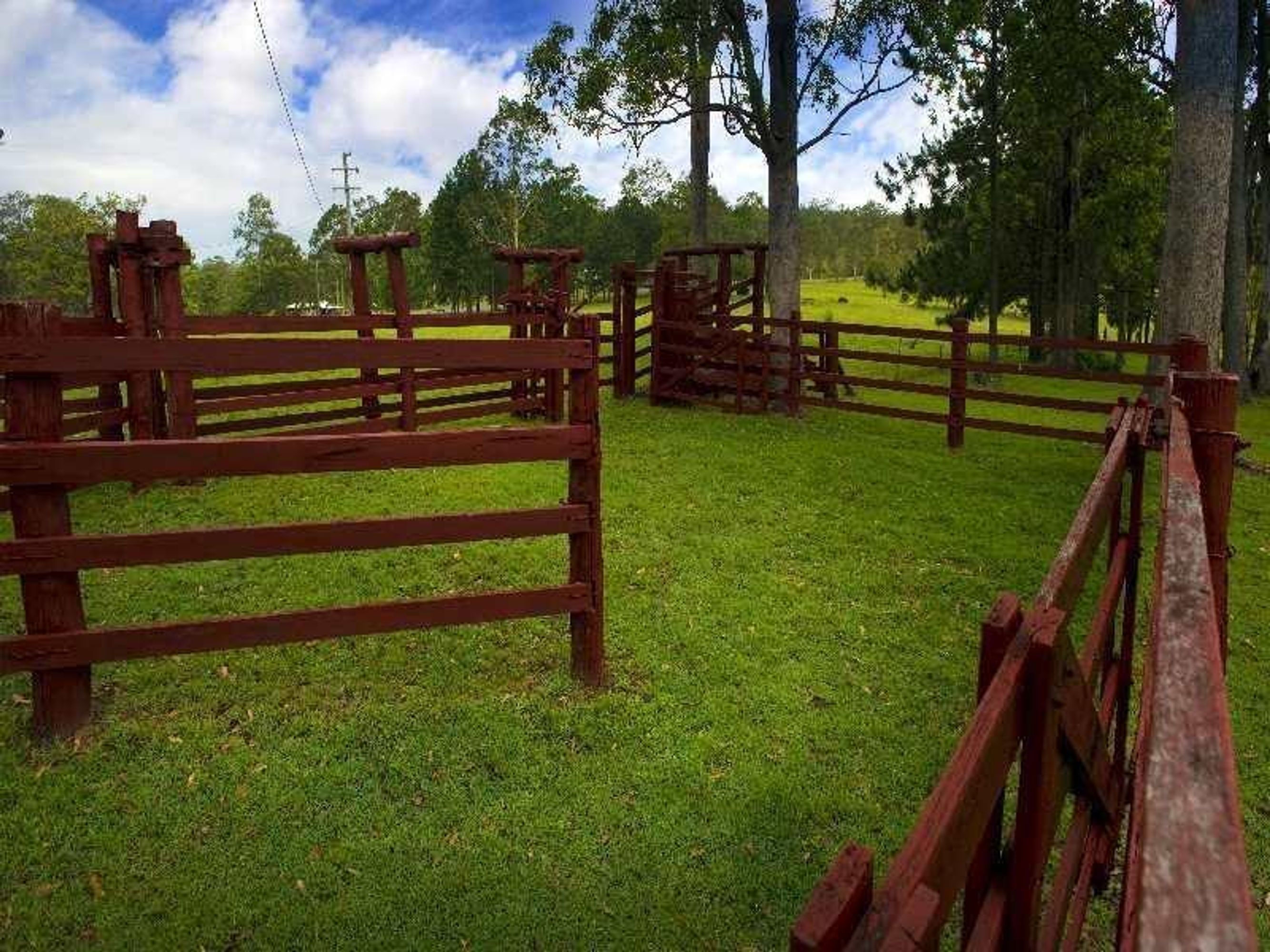 186 Whiteman Creek Road, The Whiteman - Thumbnail 6