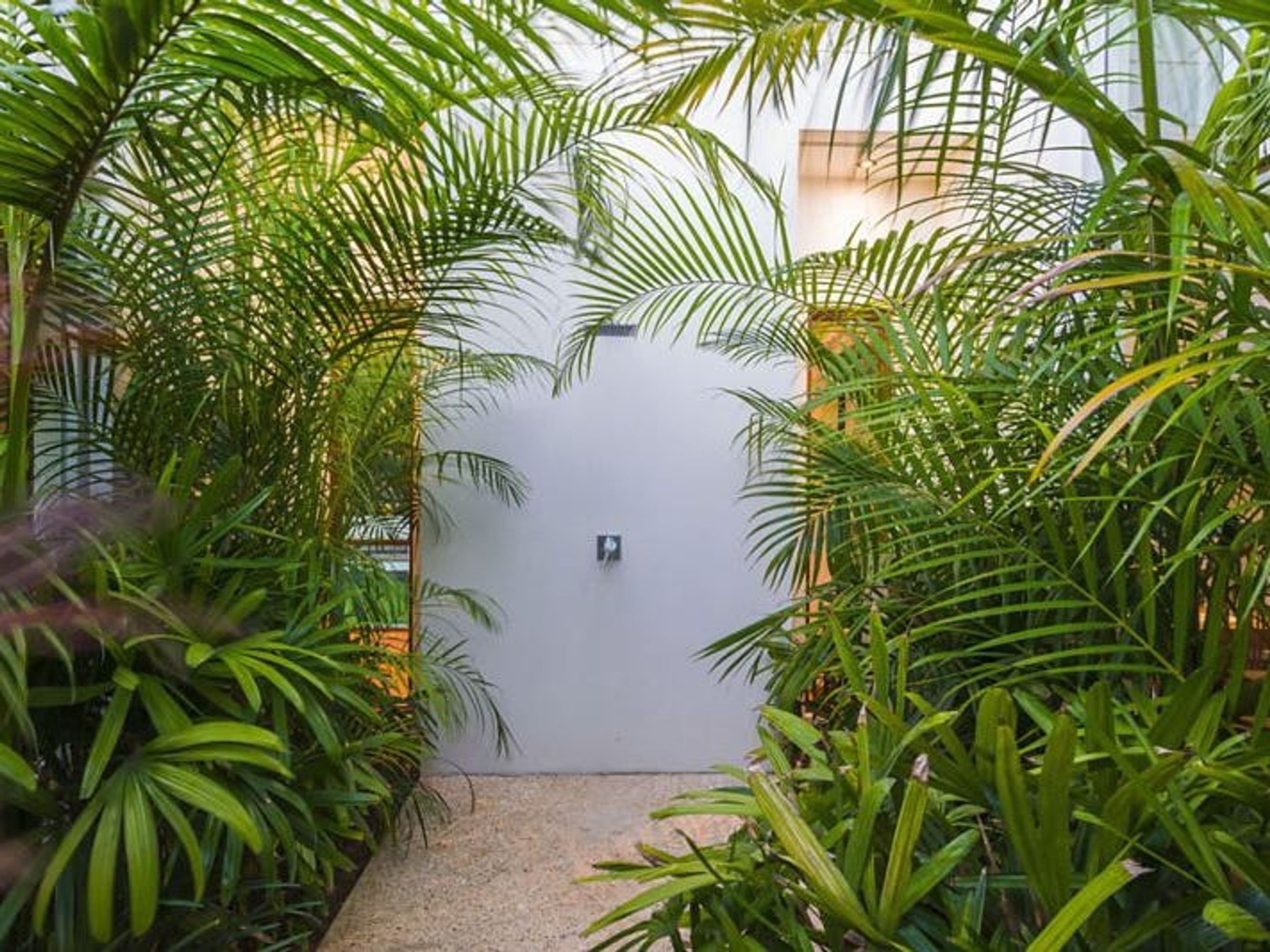22 Kitchener Street, North Beach - Thumbnail 8