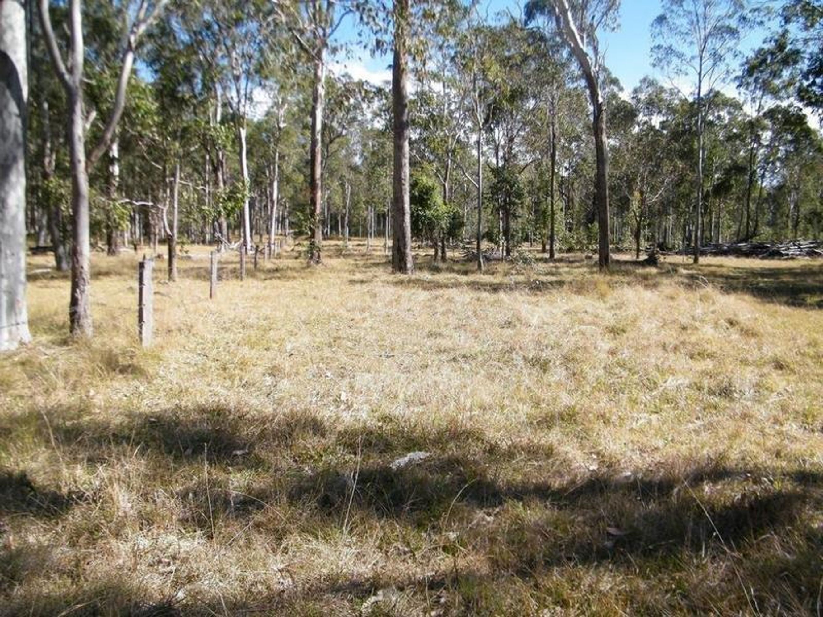 105 Casson Creek Road, Lavadia - Thumbnail 4