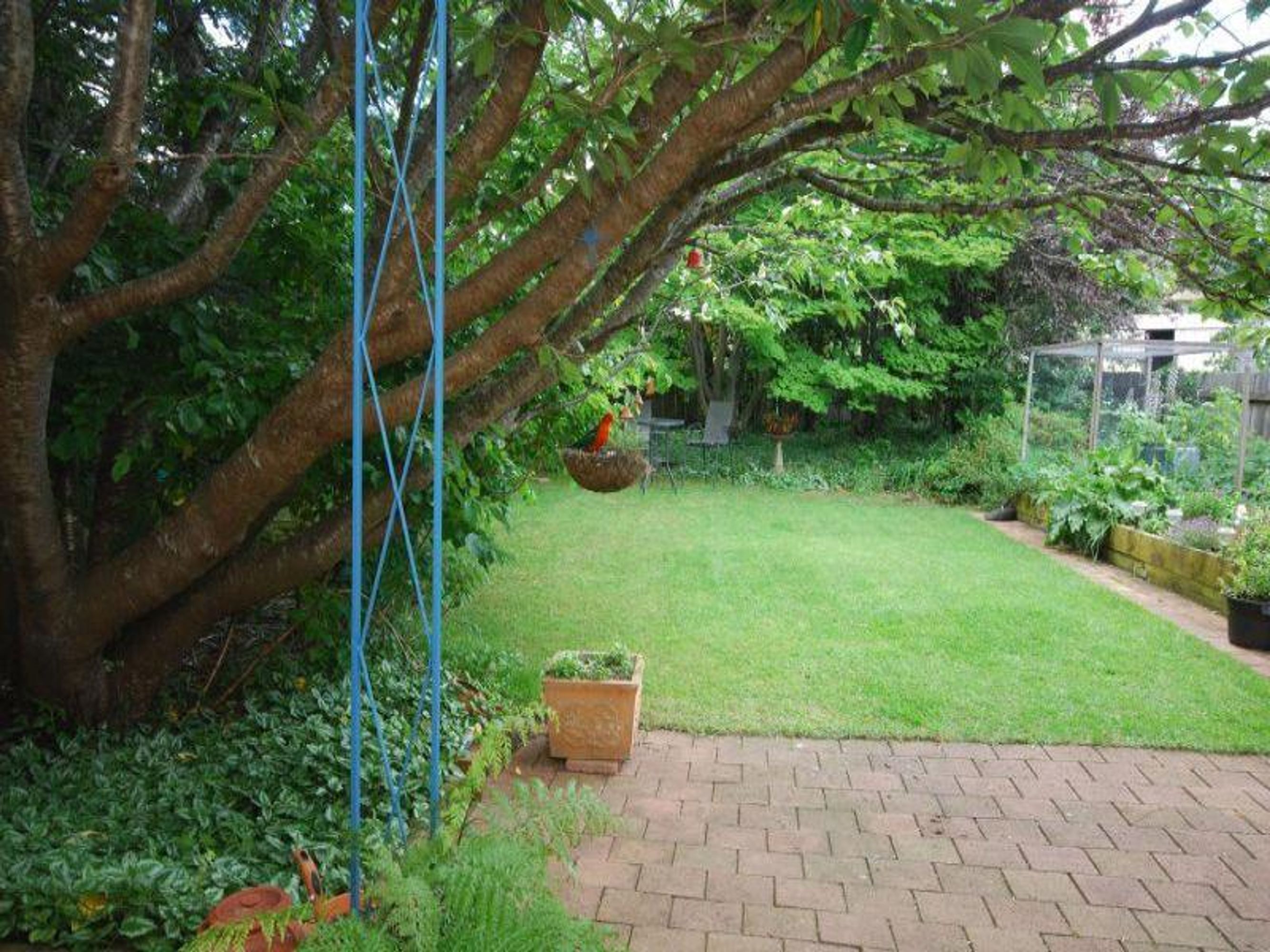 33 Martin St, Katoomba - Thumbnail 3