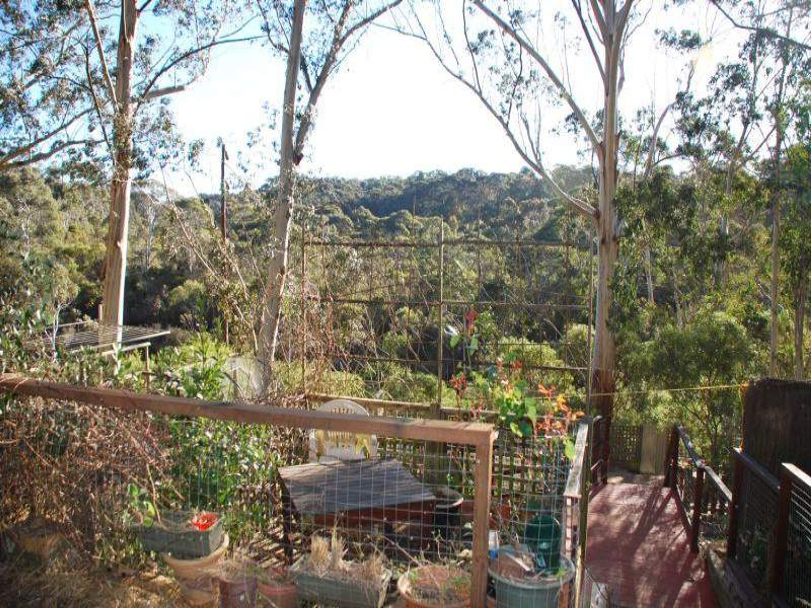 26 Gladstan Ave, Katoomba - Thumbnail 3